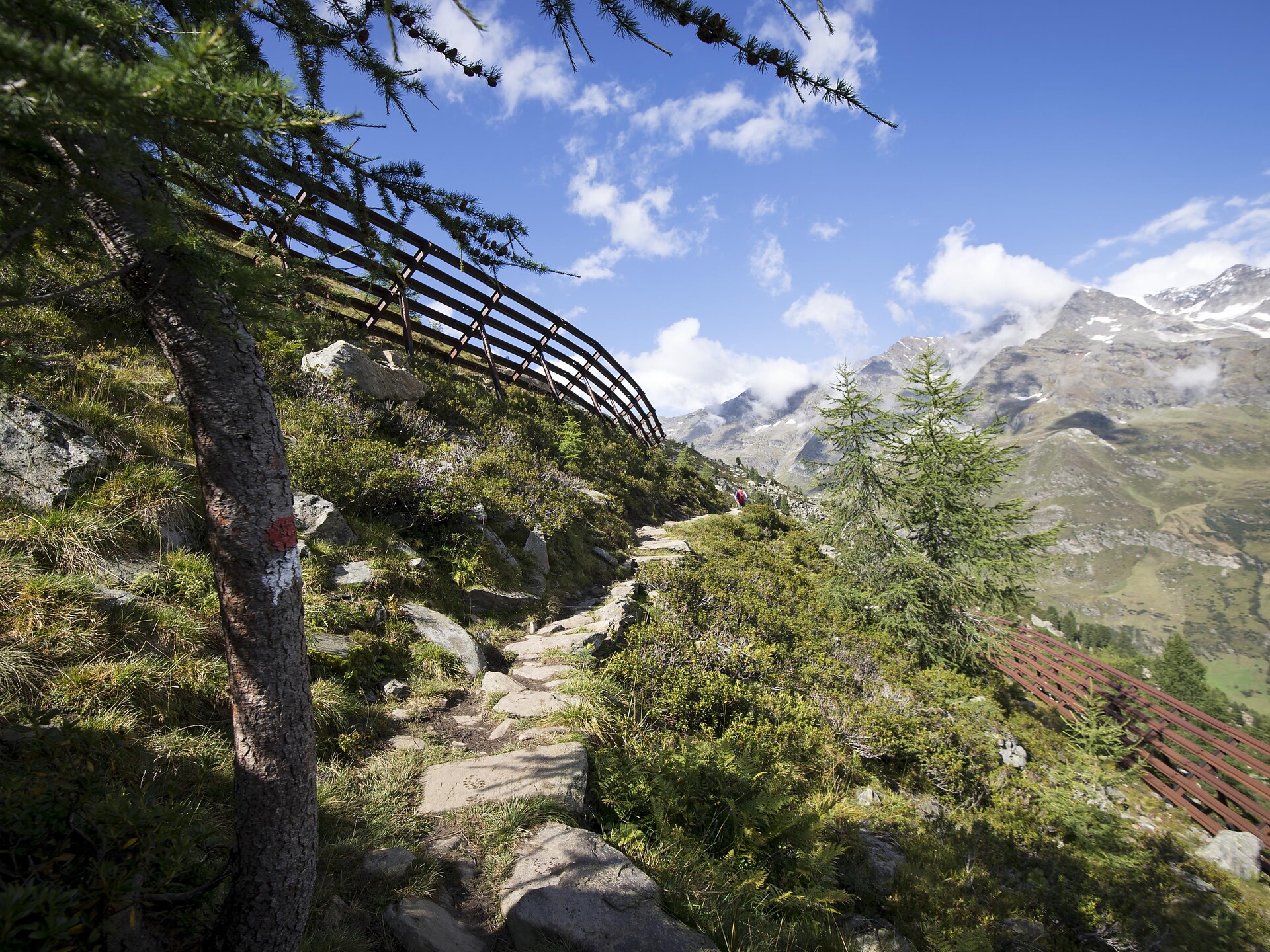 Escursione guidata sulla Cima Matatz - Merano e dintorni - #1 - suedtirol.info
