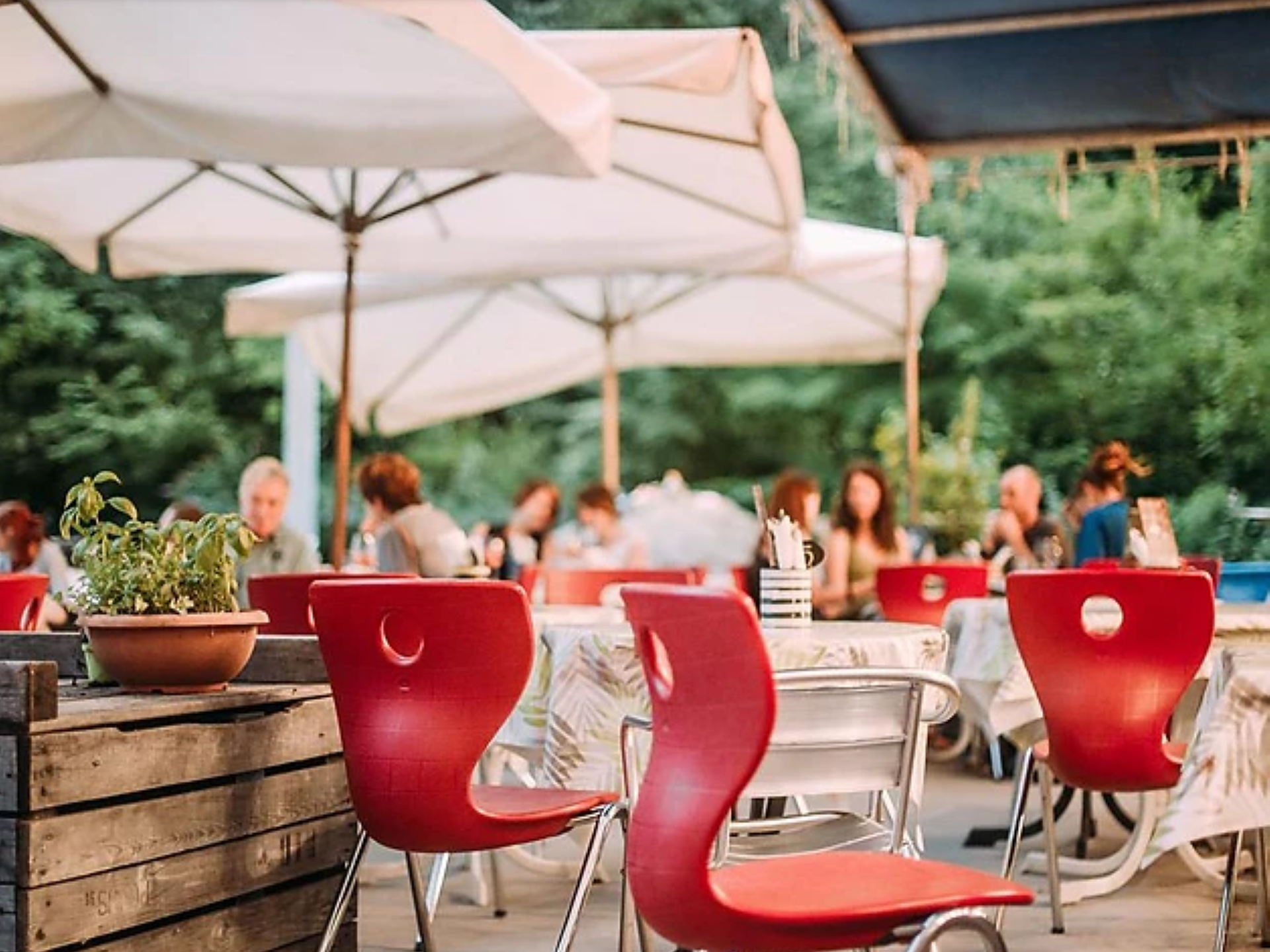 GaudiBar - die Sommerbar in der Gaulschlucht - Meran und Umgebung - #1 - suedtirol.info