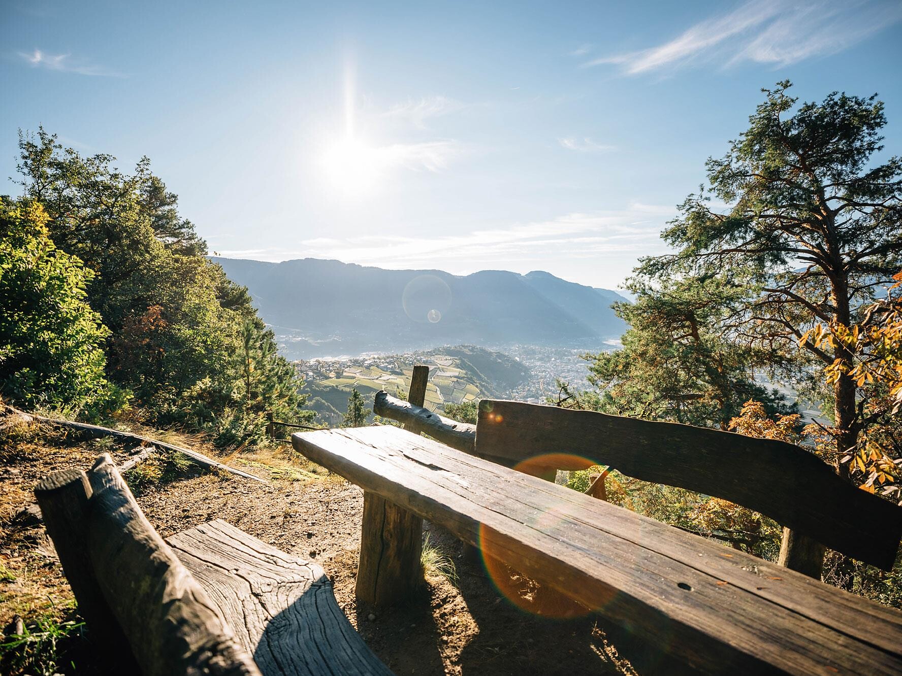 Geführte Gästewanderung: Lärchenwanderung im Schnalstal - Meran und Umgebung - #1 - suedtirol.info