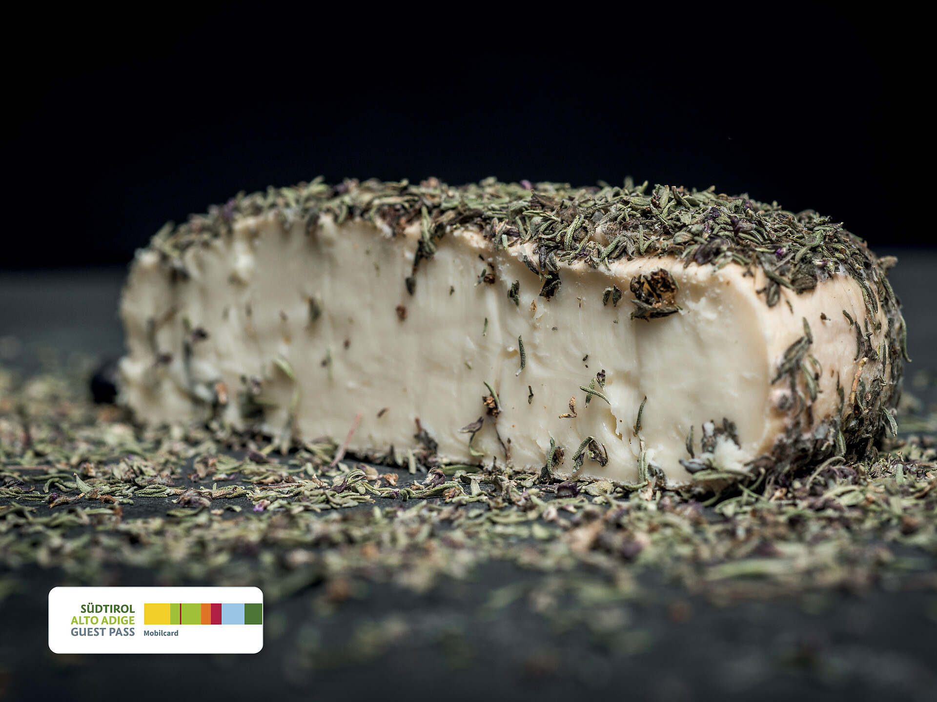 GUEST PASS | Per campi, boschi e prati al saporito formaggio Selva dei Molini 1 suedtirol.info