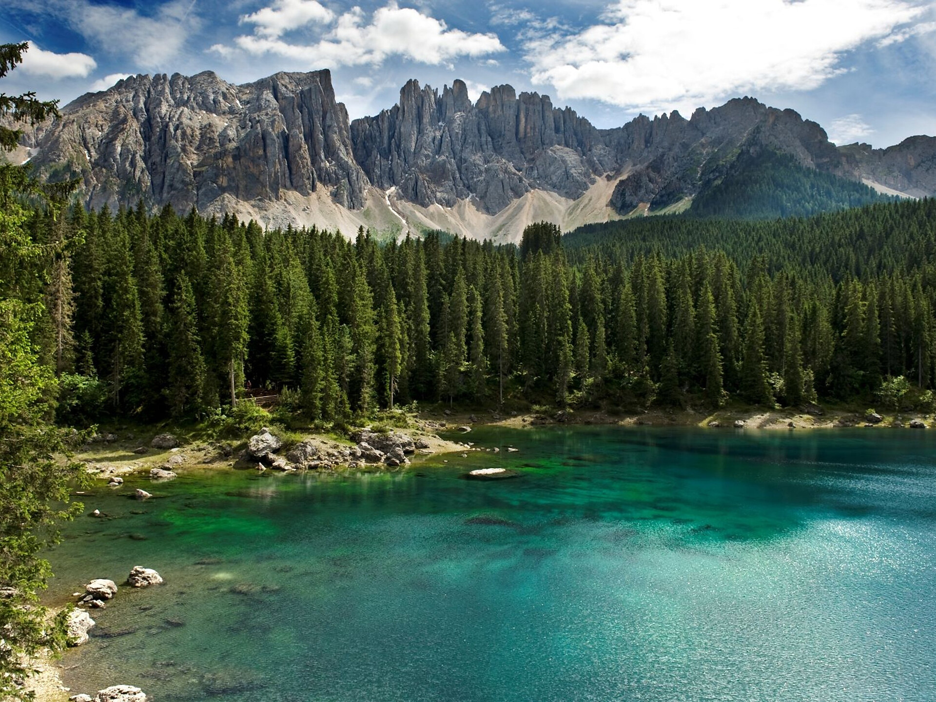 Escursione guidata nelle Dolomiti sul Latemar - Strada del Vino - #1 - suedtirol.info