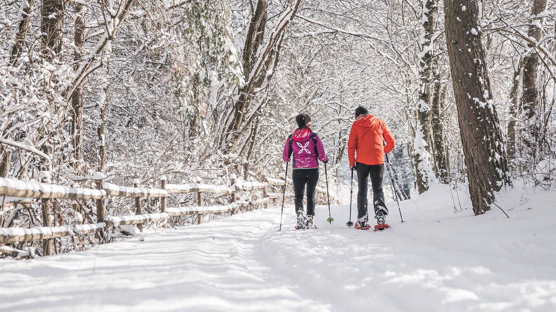 Escursione guidata con racchette da neve - Bressanone e dintorni - #3 - suedtirol.info