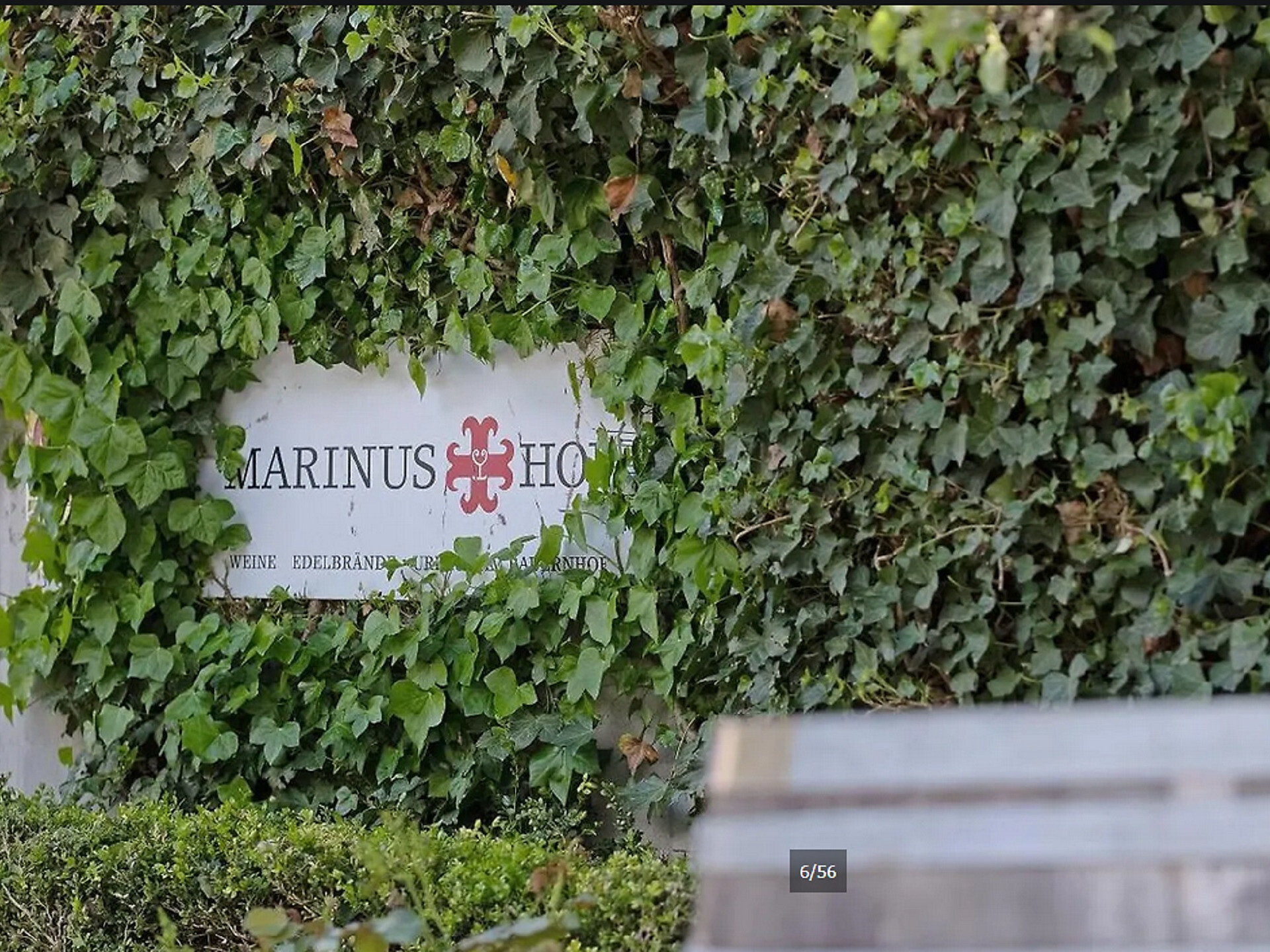 Gourmet autumn: Via Vinum Venostis - wine growing in Kastelbell: Marinushof - Meran/Merano and environs - #1 - suedtirol.info