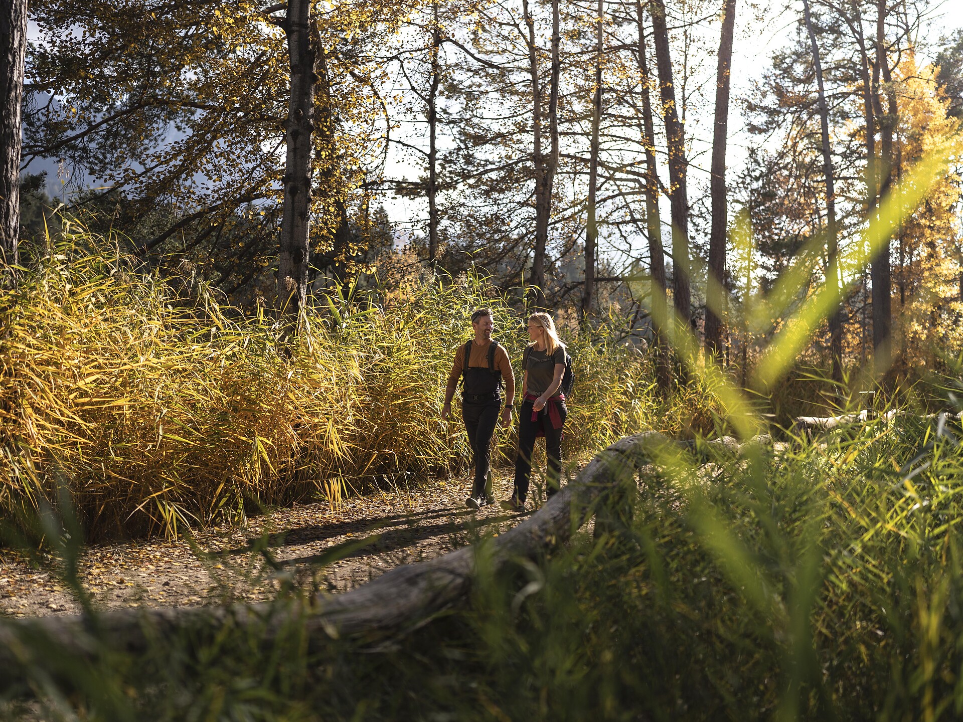 Geführte Wanderung von Tiers nach Völs über Almen und Weiher - Dolomitenregion Seiser Alm - #2 - suedtirol.info