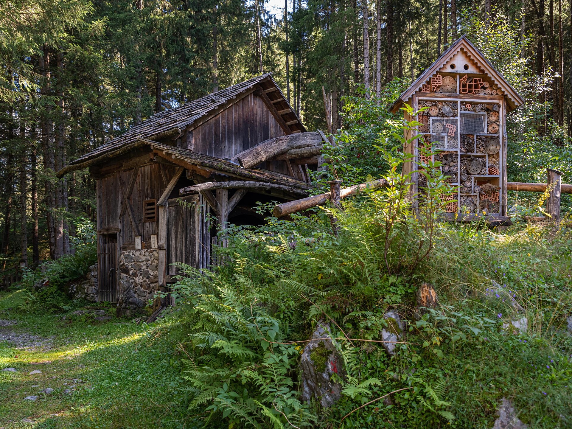 Scenic hike with Gilbert: farm trail & rural culture in Antholz Valley - Dolomites Region Kronplatz/Plan de Corones - #3 - suedtirol.info