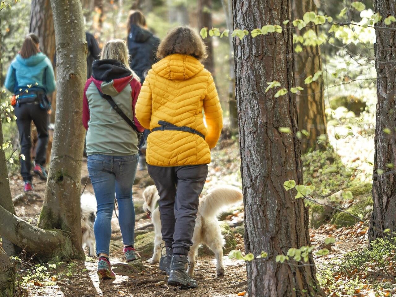 Guided dog hikes with the dog school “Die Seilschaft” - Bolzano/Bozen and environs - #2 - suedtirol.info