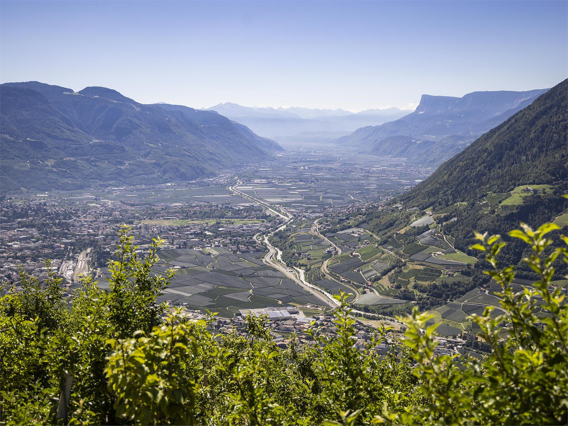 Guided Pleasure E-Bike Tour – Freiberg - Meran/Merano and environs - #1 - suedtirol.info
