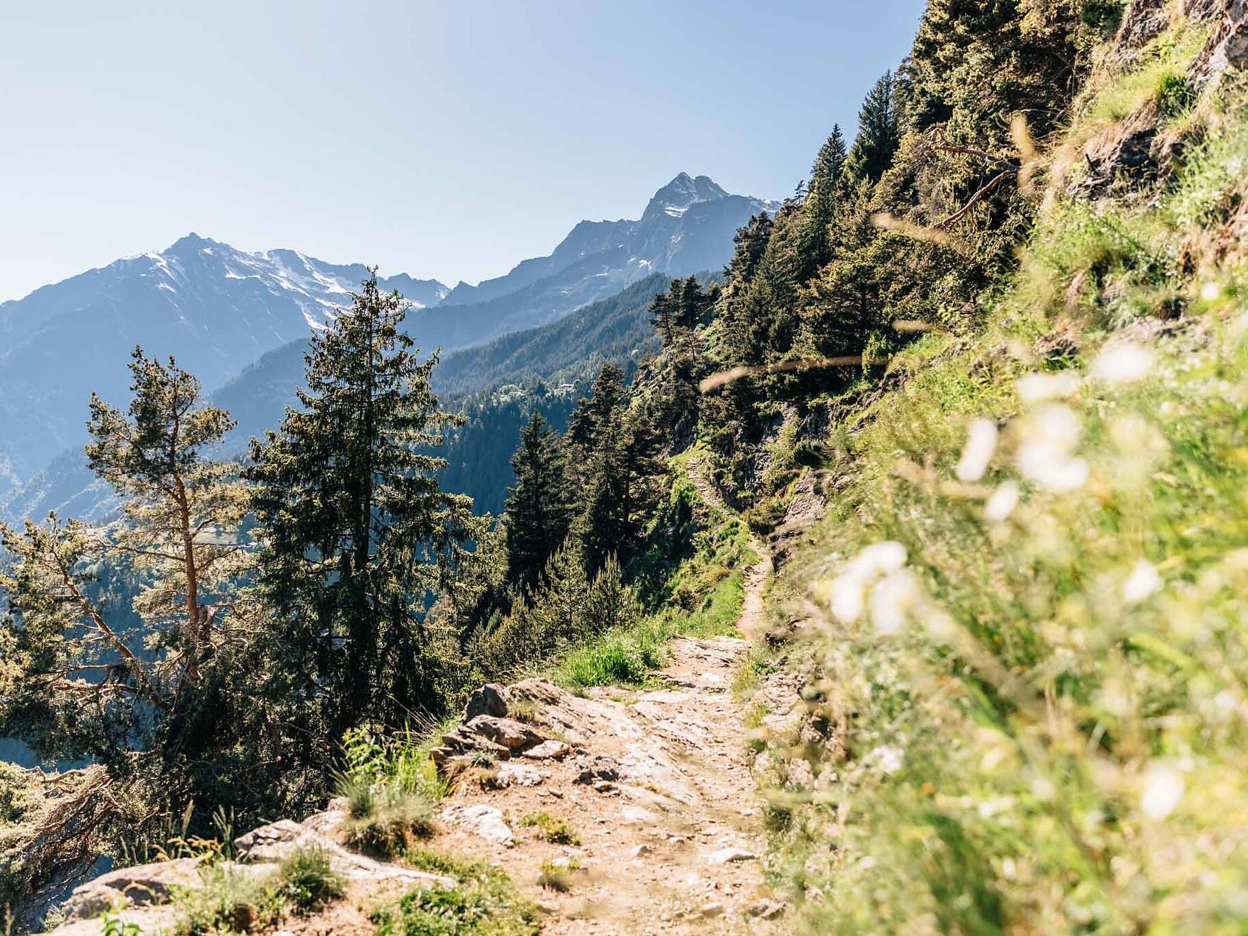 Geführte Gästewanderung: Zur Getrumalm im hintersten Sarntal - Meran und Umgebung - #1 - suedtirol.info