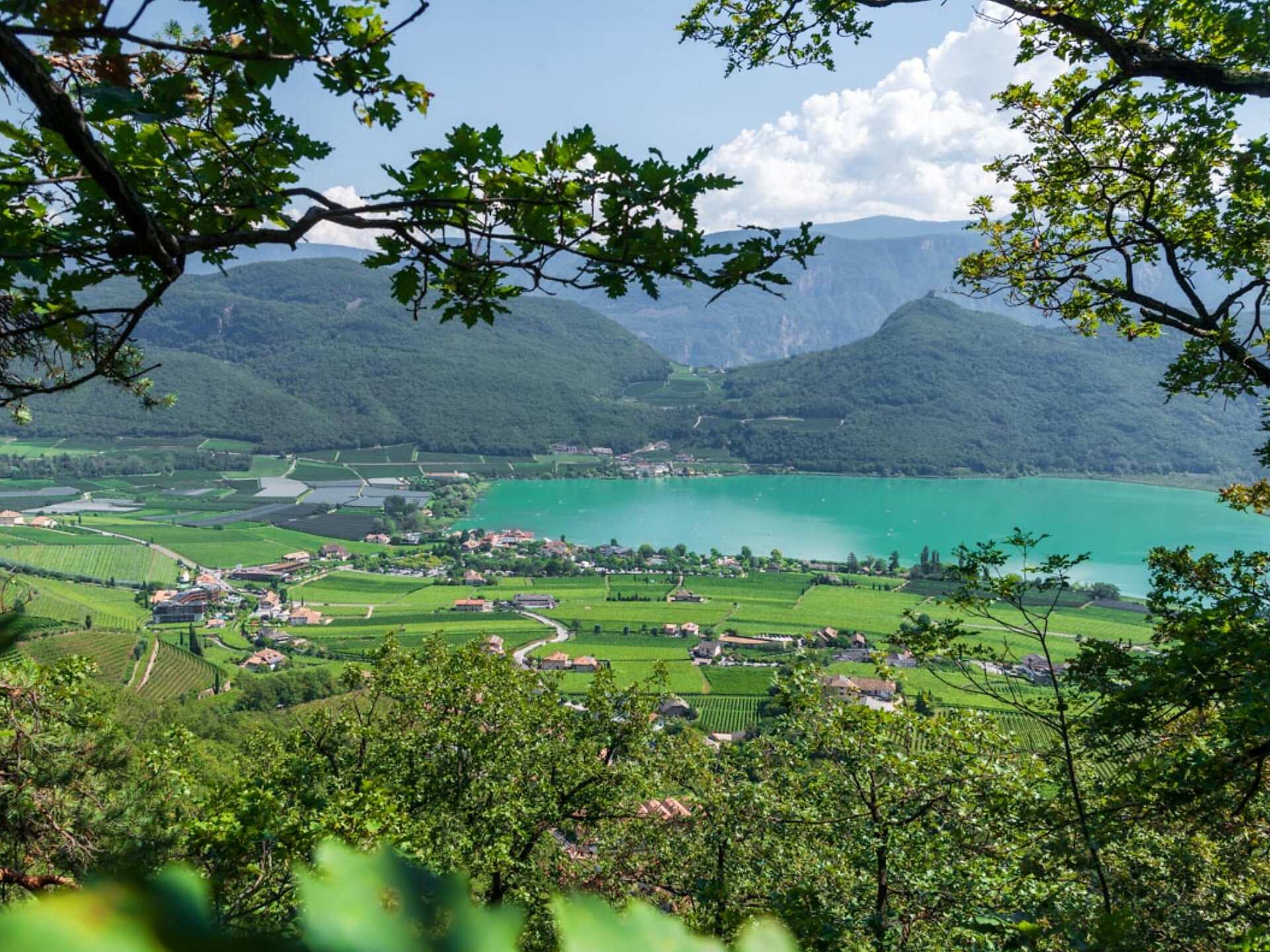 Escursione guidata attraverso la gola di Rastenbach a Castelvecchio - Strada del Vino - #3 - suedtirol.info