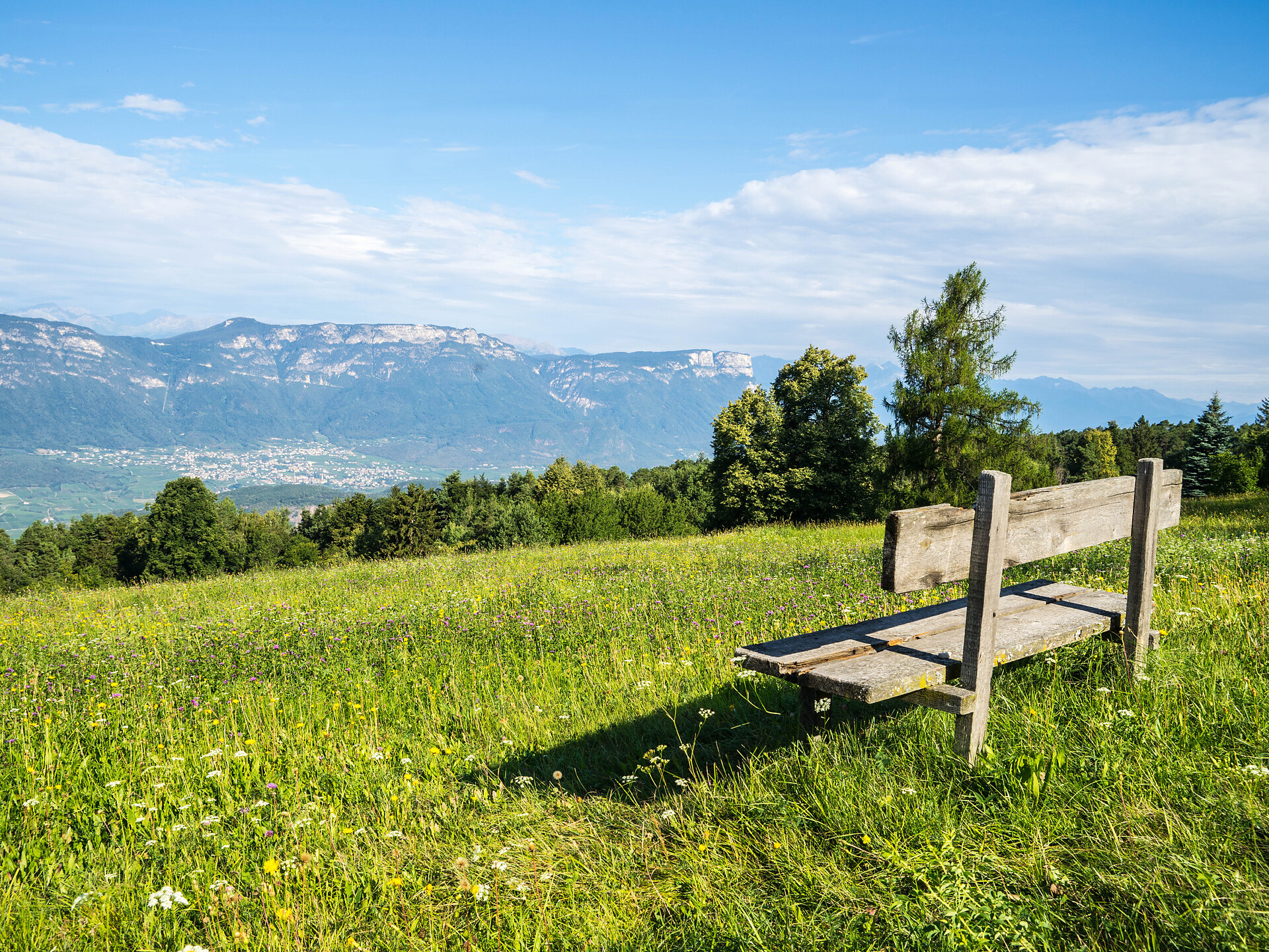Geführte Wanderung "Aldeiner Almenwanderung" - Meran und Umgebung - #1 - suedtirol.info