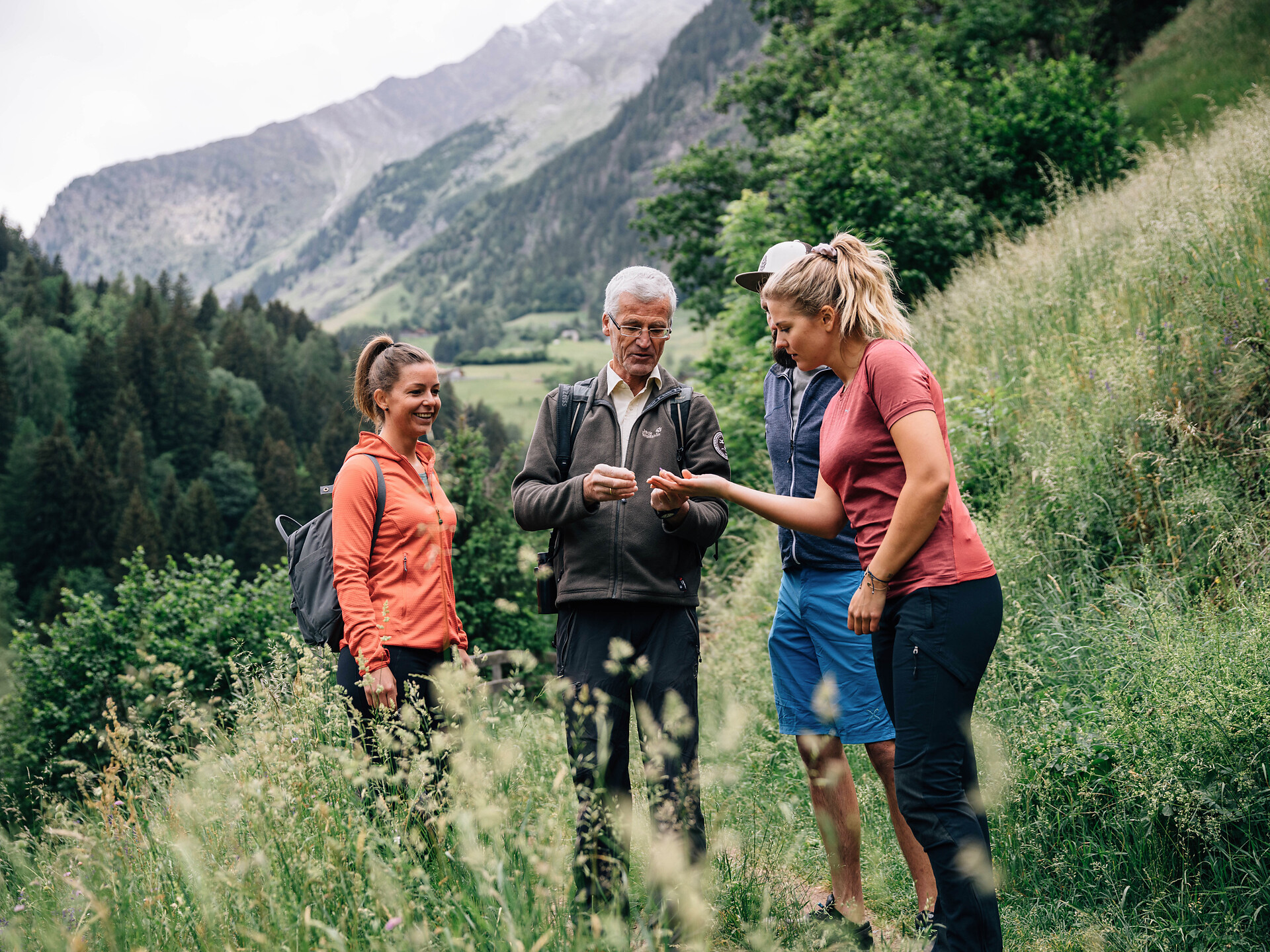 Guided hike in the Nature Park: golden eagle nest - Meran/Merano and environs - #1 - suedtirol.info