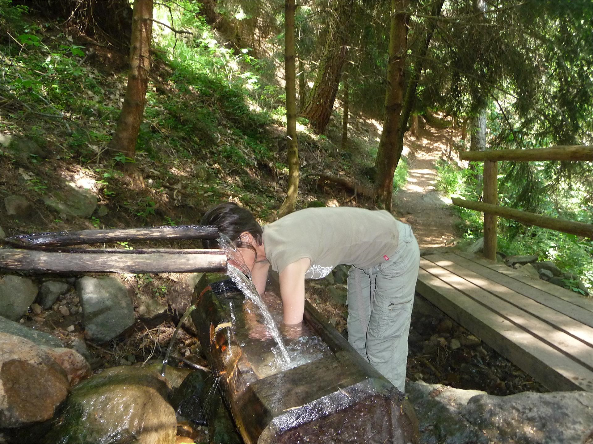 Escursione guidata a "Kneipp" alla Cascata di Barbiano Barbiano 2 suedtirol.info