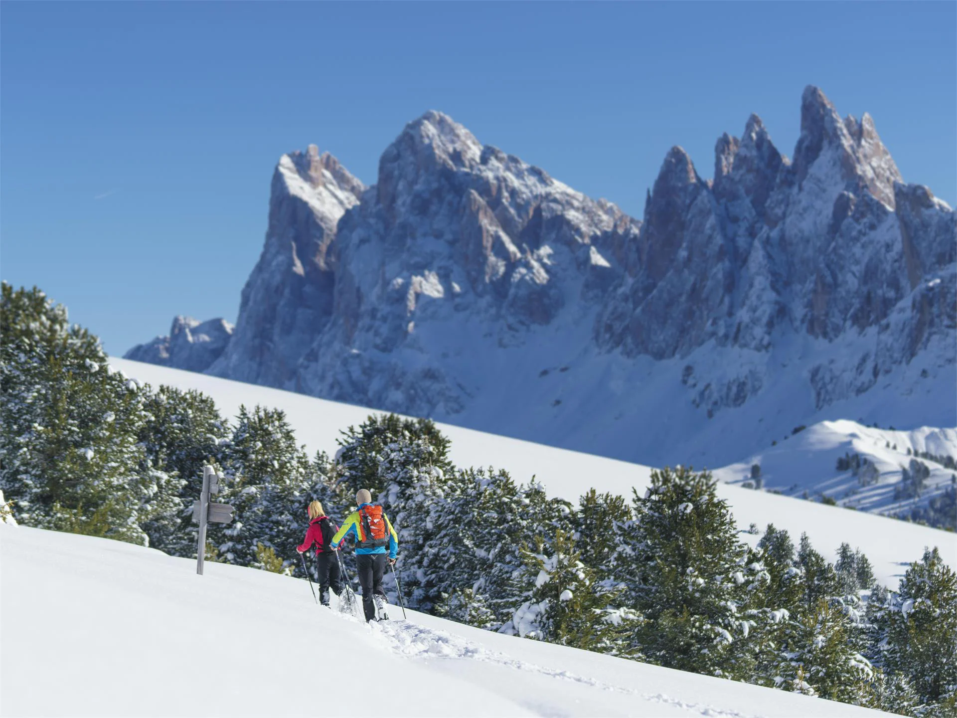 Guided snowshoe hike - On the move in silence Brixen/Bressanone 1 suedtirol.info