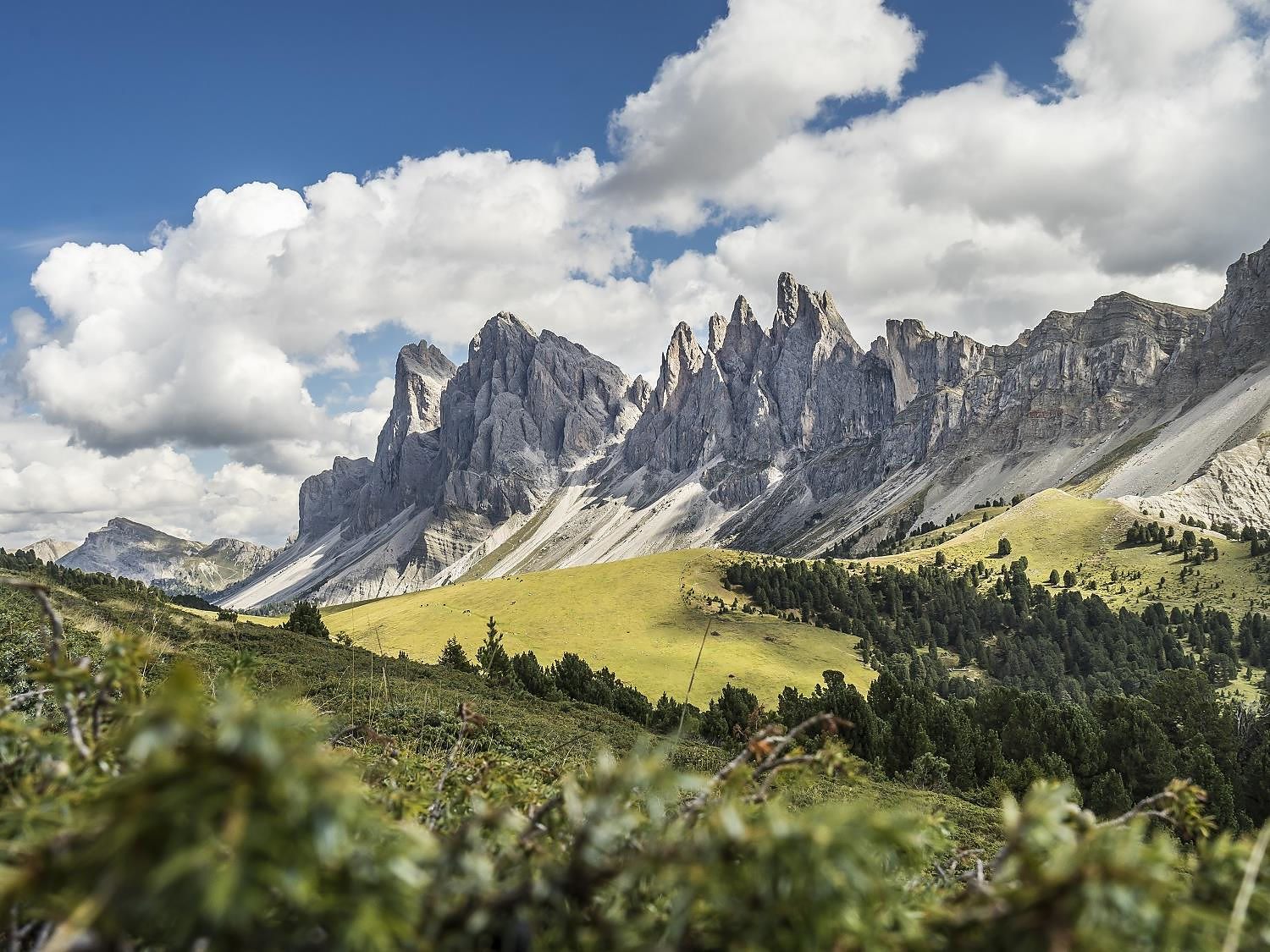Guided hiking tour: Resciesa - Geisler Hut Lajen/Laion 1 suedtirol.info