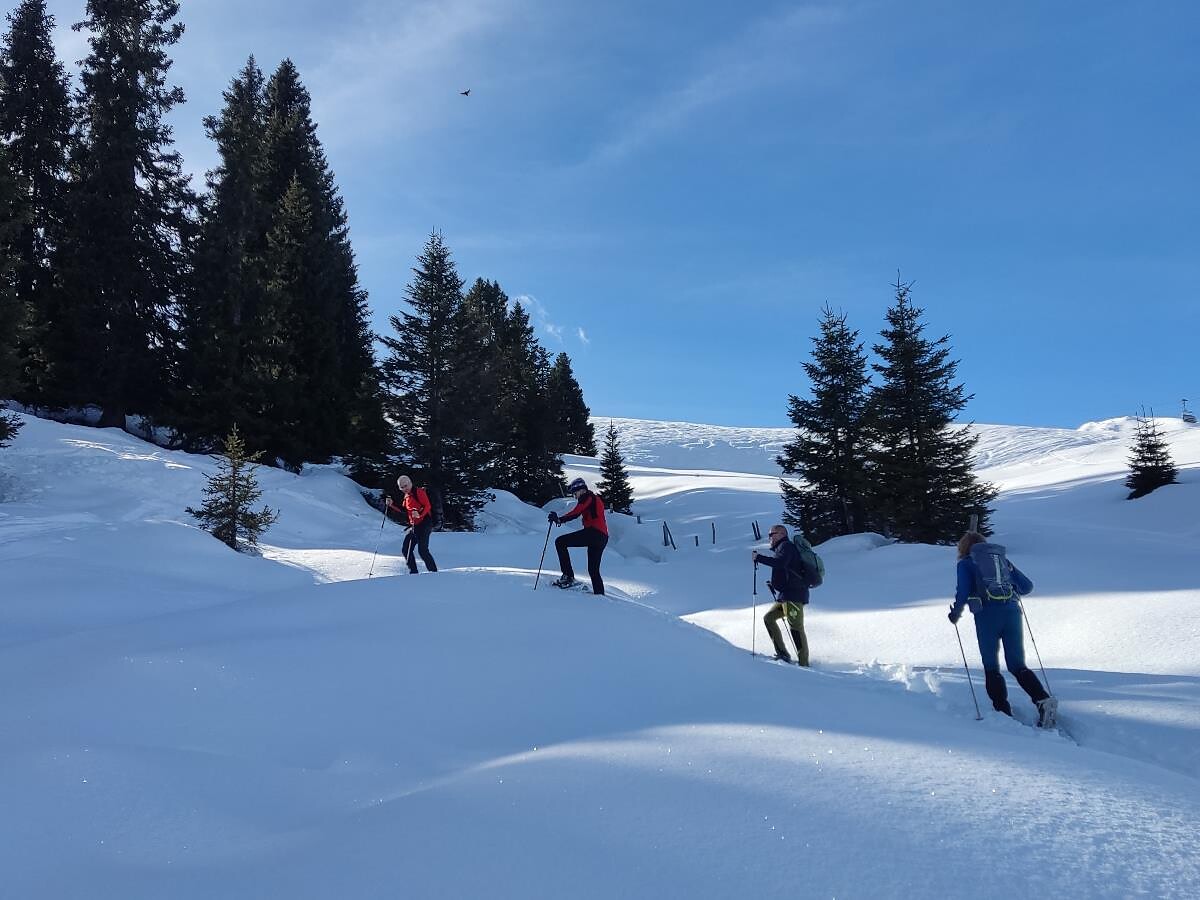 Eintauchen in den Winter: Geführte Schneeschuhwanderung in Ratschings - Sterzing und Umgebung - #2 - suedtirol.info