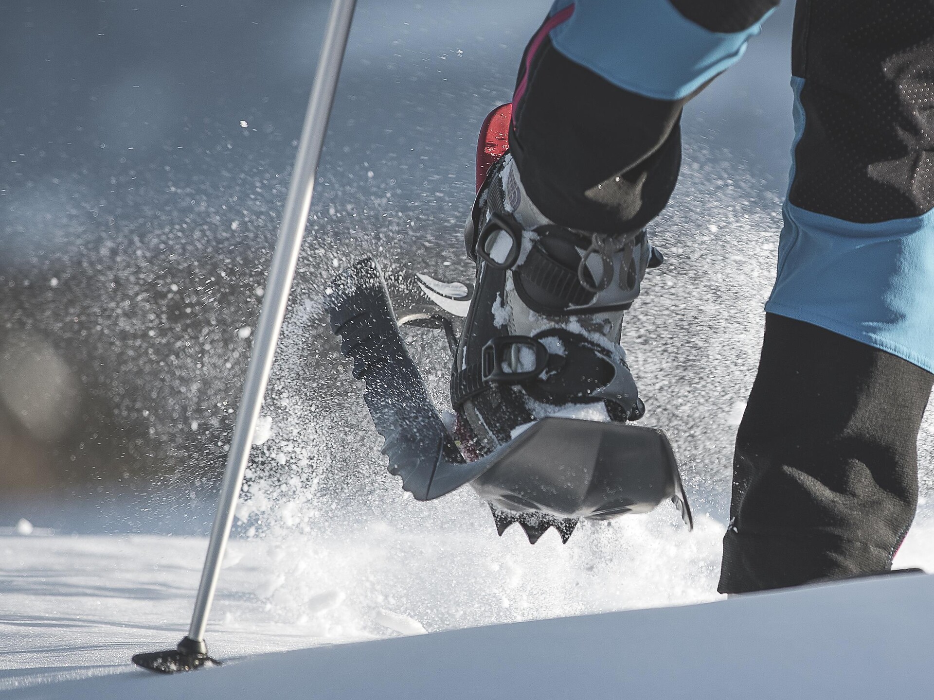 Eintauchen in den Winter: Geführte Schneeschuhwanderung in Ratschings - Sterzing und Umgebung - #1 - suedtirol.info