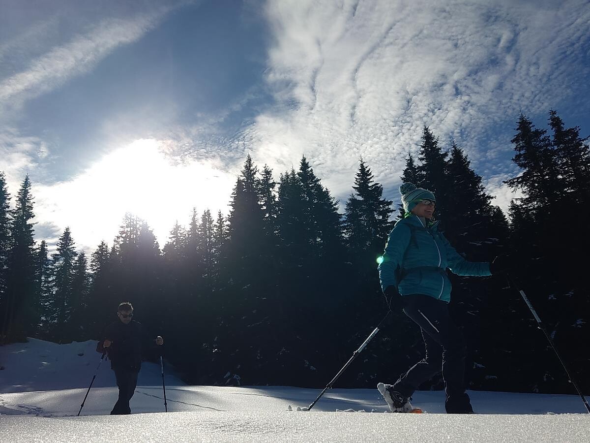 Eintauchen in den Winter: Geführte Schneeschuhwanderung in Ratschings - Sterzing und Umgebung - #3 - suedtirol.info