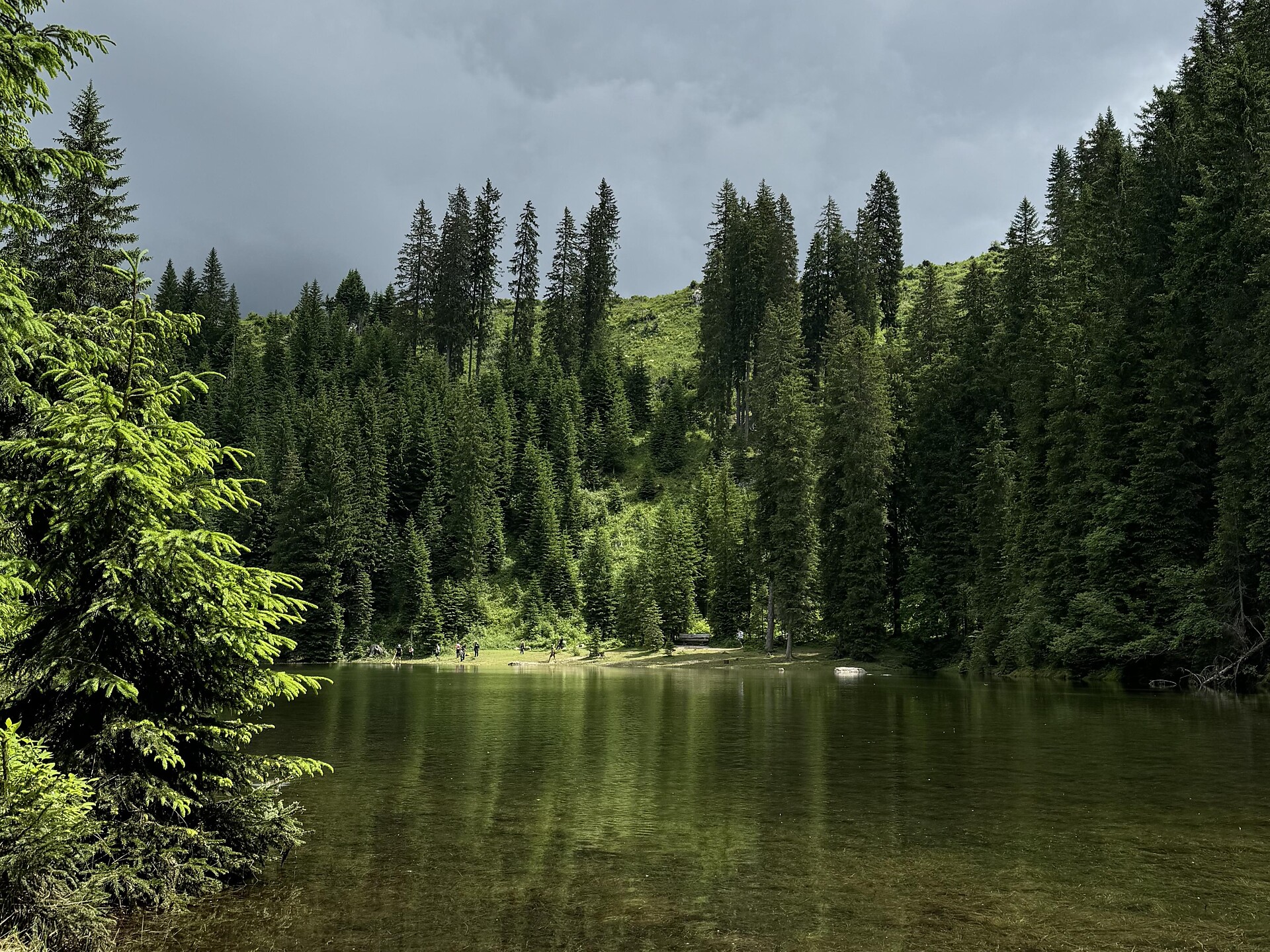 Guided hike through the Latemar Labyrinth Tiers am Rosengarten/Tires al Catinaccio 2 suedtirol.info