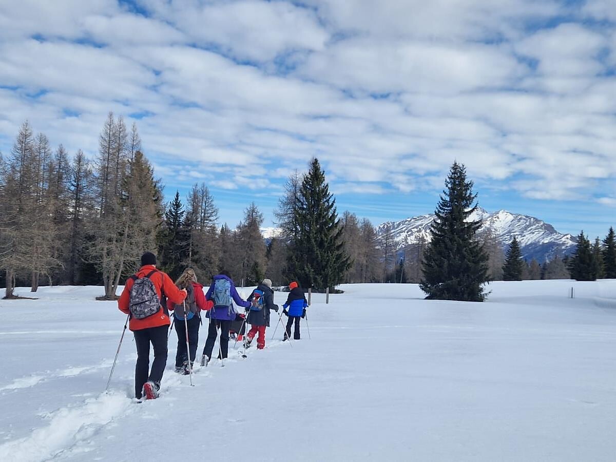 Schneeschuhwanderung für Einsteiger im verschneiten Paradies (Platschjoch) - Sterzing und Umgebung - #1 - suedtirol.info