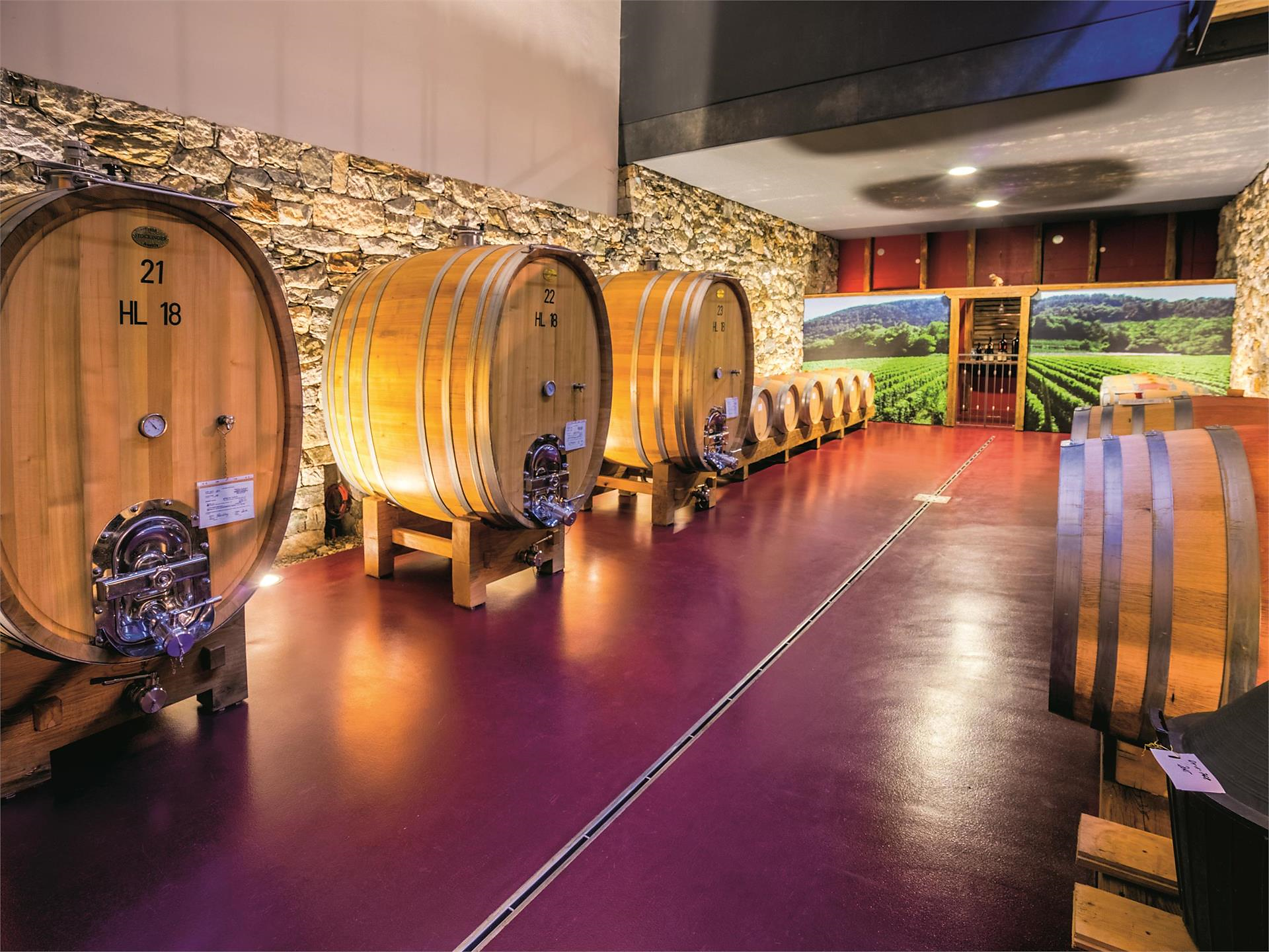 Faszination Wein: Weinkellerführung im Weingut Plonerhof Marling 3 suedtirol.info