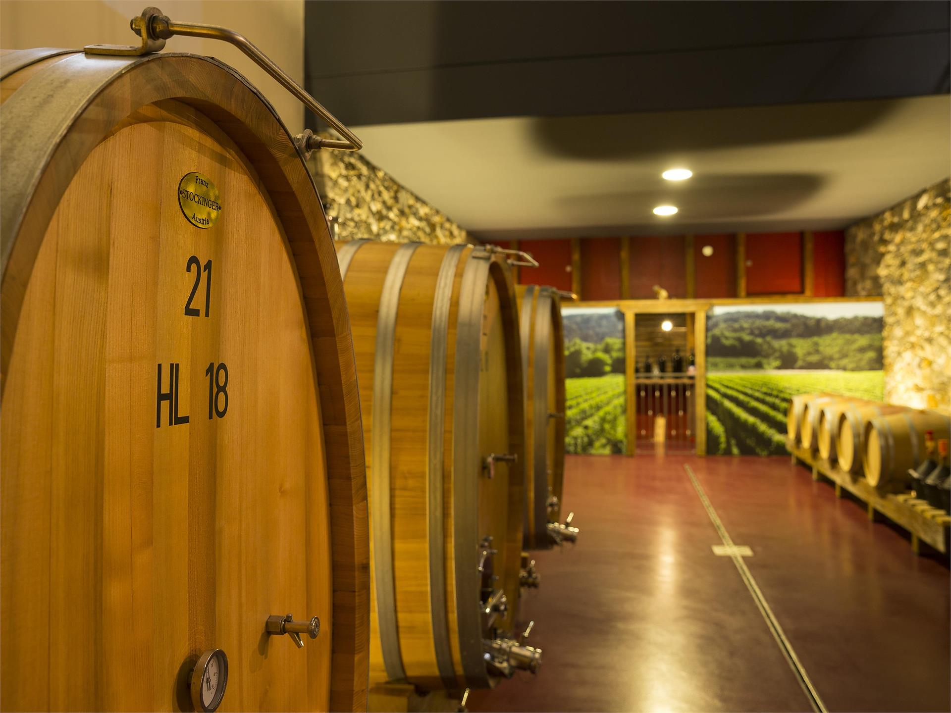Faszination Wein: Weinkellerführung im Weingut Plonerhof Marling 1 suedtirol.info