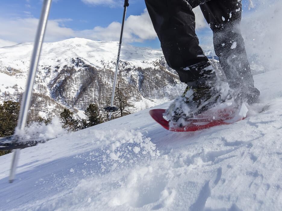 Passeggiata guidata con le ciaspole o passeggiata invernale - malga dei Vitelli - Val Venosta - #3 - suedtirol.info