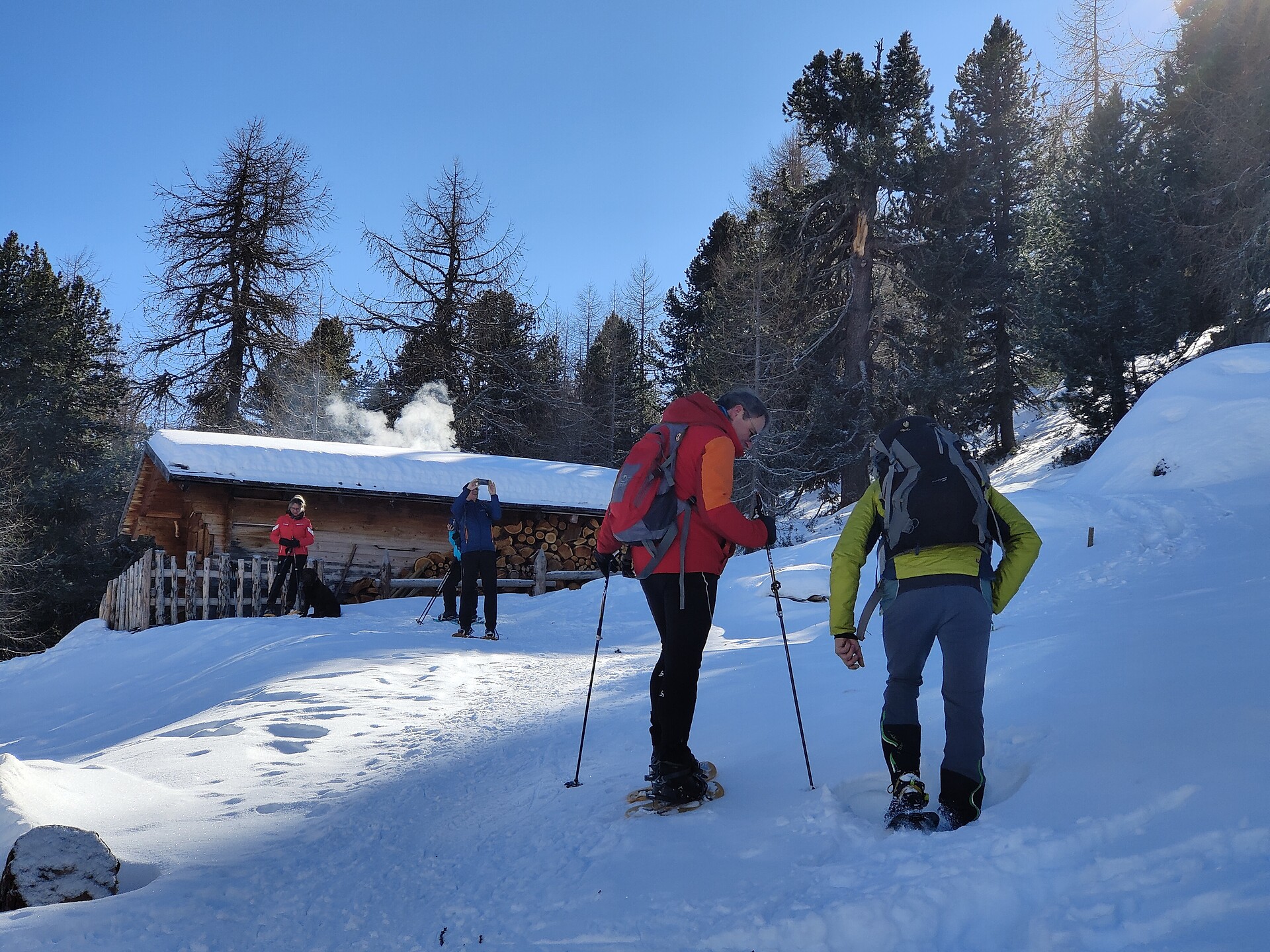Passeggiata guidata con le ciaspole o passeggiata invernale - malga dei Vitelli - Val Venosta - #2 - suedtirol.info
