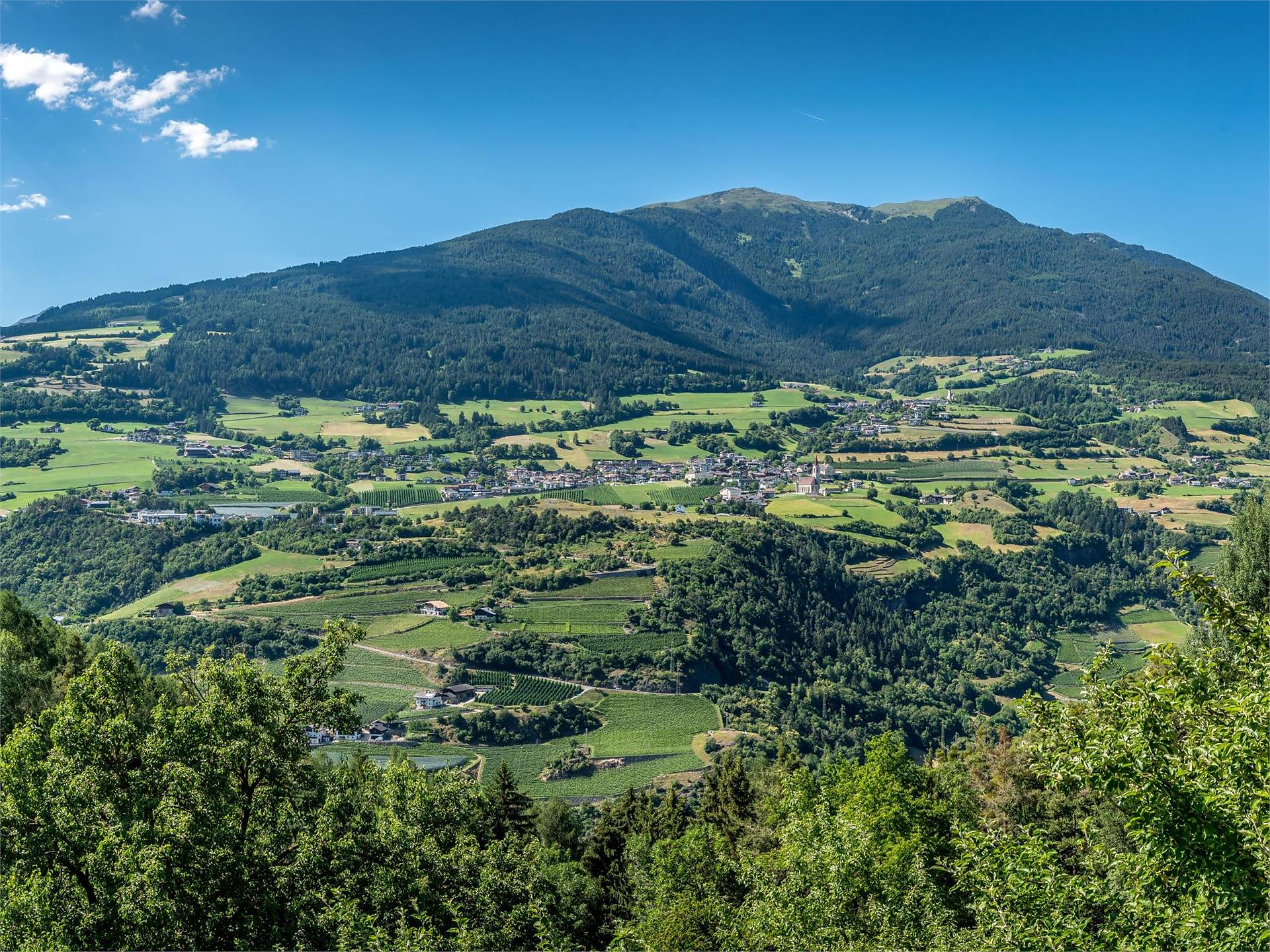 Geführte Rundwanderung zu Anna Steinacher Feldthurns 1 suedtirol.info