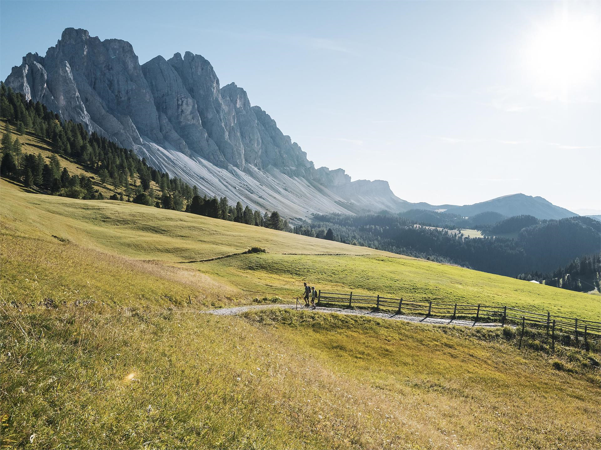 Escursione guidata: Col di Poma Laion 2 suedtirol.info