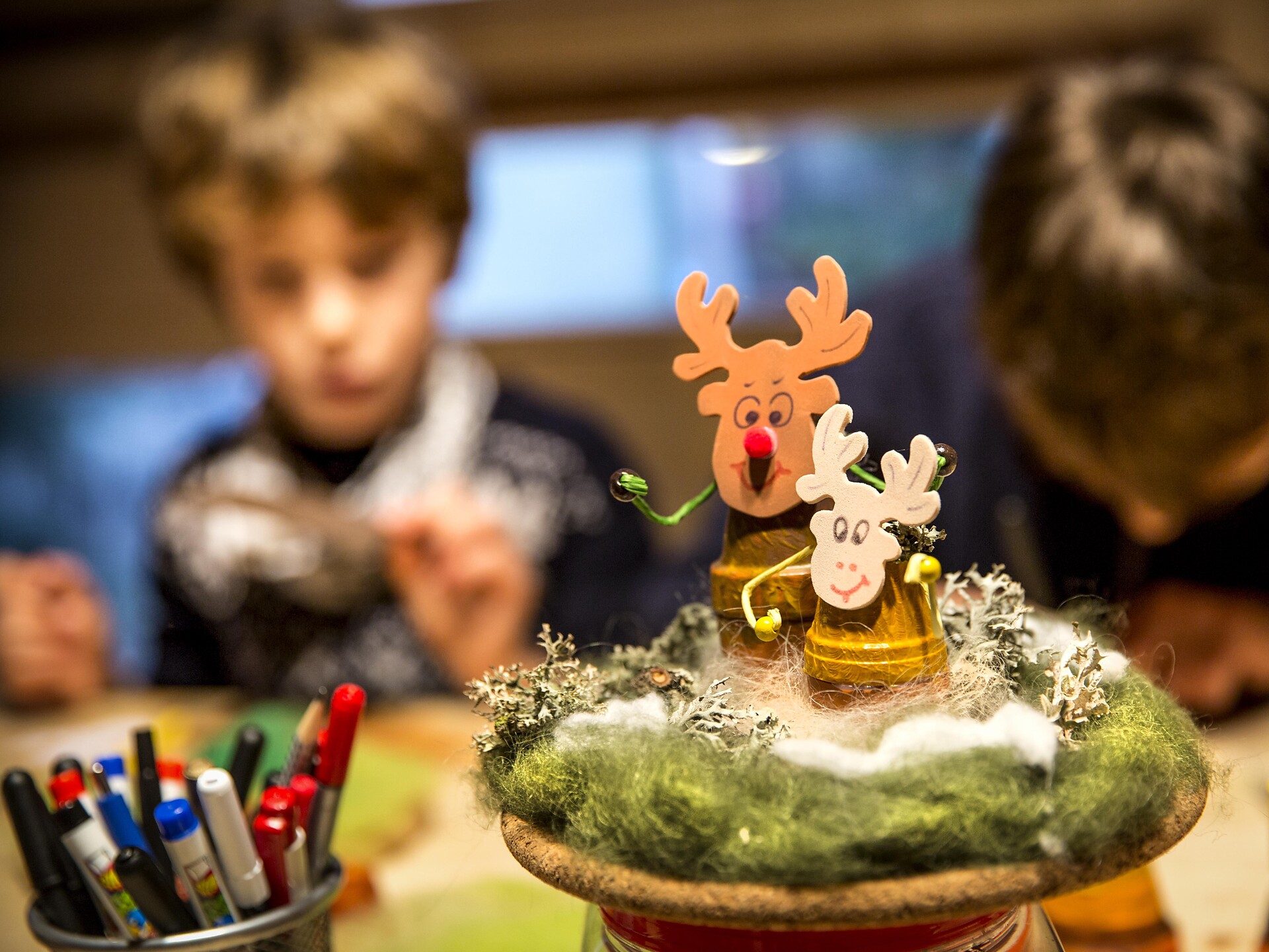 Goldy's House - Reindeer - Meran/Merano and environs - #1 - suedtirol.info