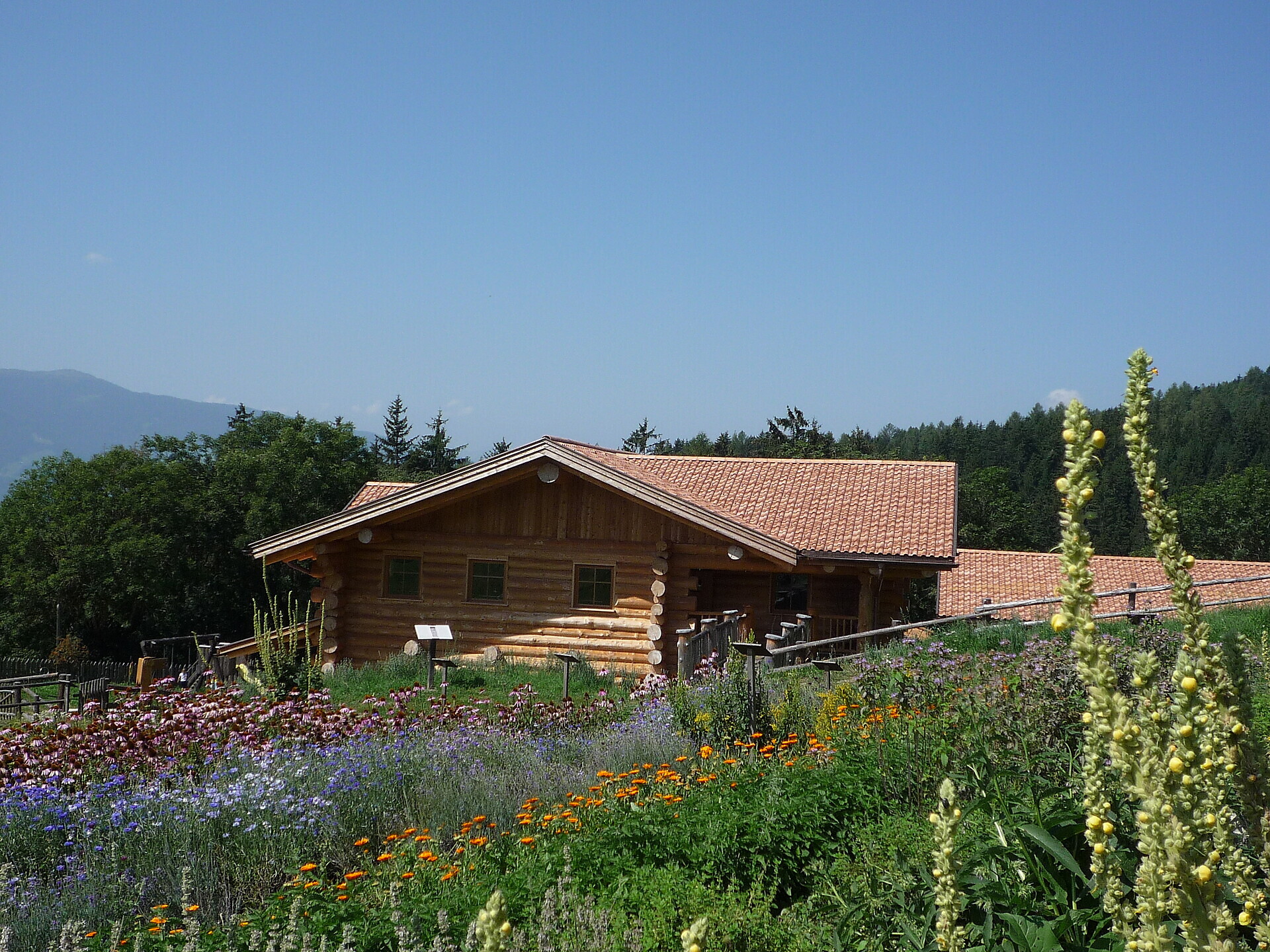 Guided tour - To the Herb Farm Hauser Percha/Perca 1 suedtirol.info