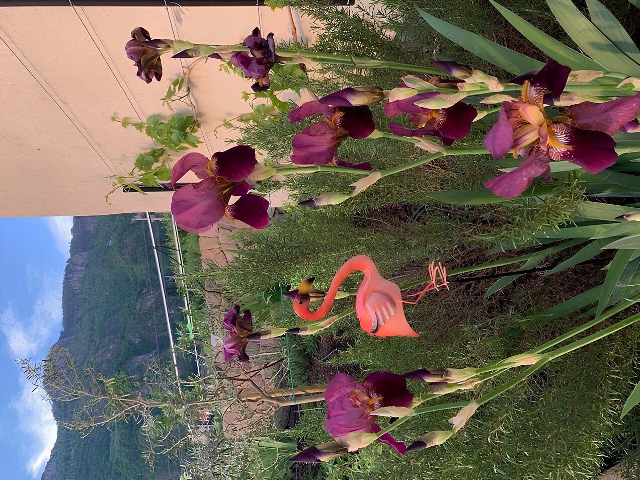 Giardino Holzleg - I giardini di Andriano e Terlano 2025 Andriano 3 suedtirol.info