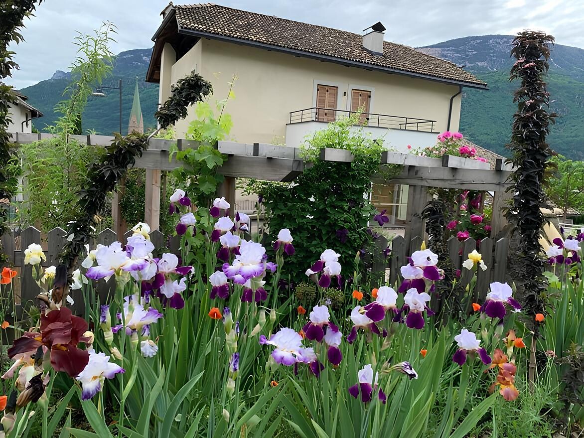 Giardino Holzleg - I giardini di Andriano e Terlano 2025 Andriano 2 suedtirol.info