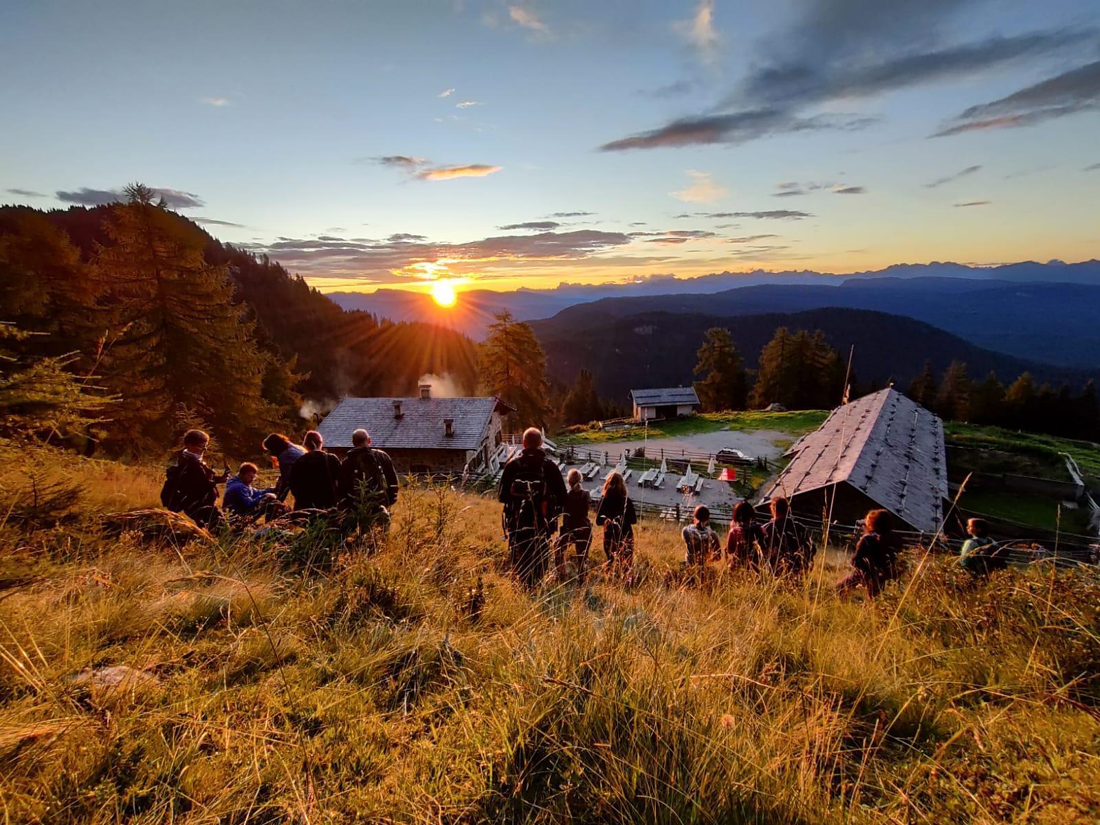 Escursione guidata: Escursione all'alba sulla Malga Luco Lagundo 1 suedtirol.info