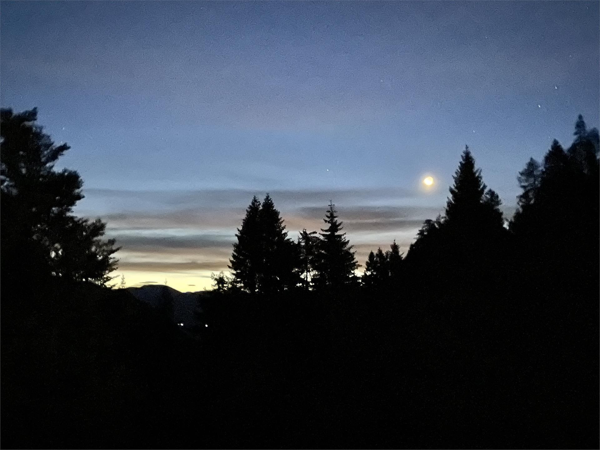 Escursione guidata: Escursione all'alba sulla Malga Luco Lagundo 2 suedtirol.info