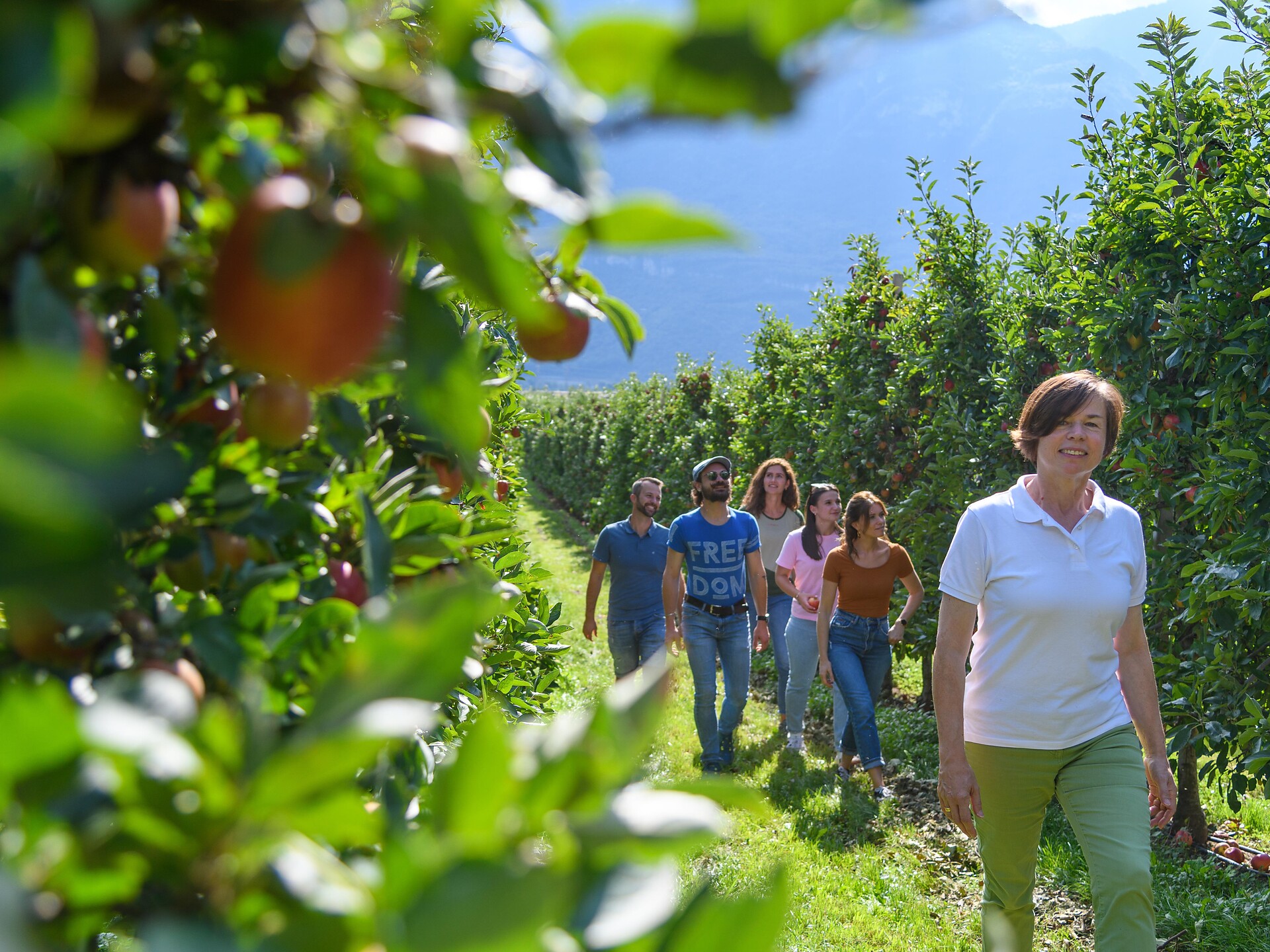 Guided hike through the fruit farm and vineyard in Kurtinig/Cortina - Alto Adige Wine Road - #1 - suedtirol.info