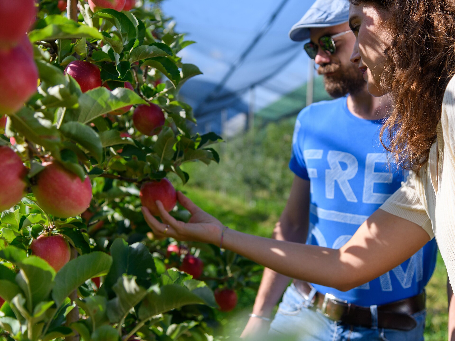 Guided hike through the fruit farm and vineyard in Kurtinig/Cortina - Alto Adige Wine Road - #2 - suedtirol.info