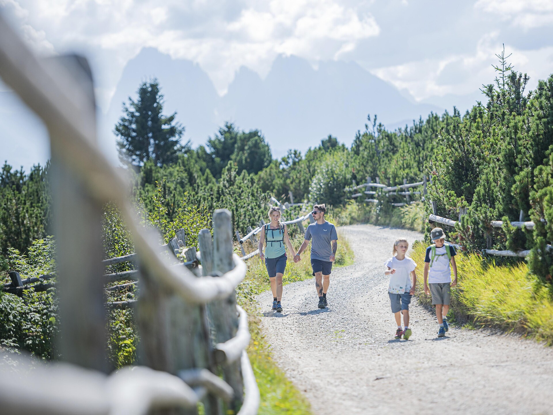 Guided hiking tour: Mountain pine distillery Lajen/Laion 2 suedtirol.info
