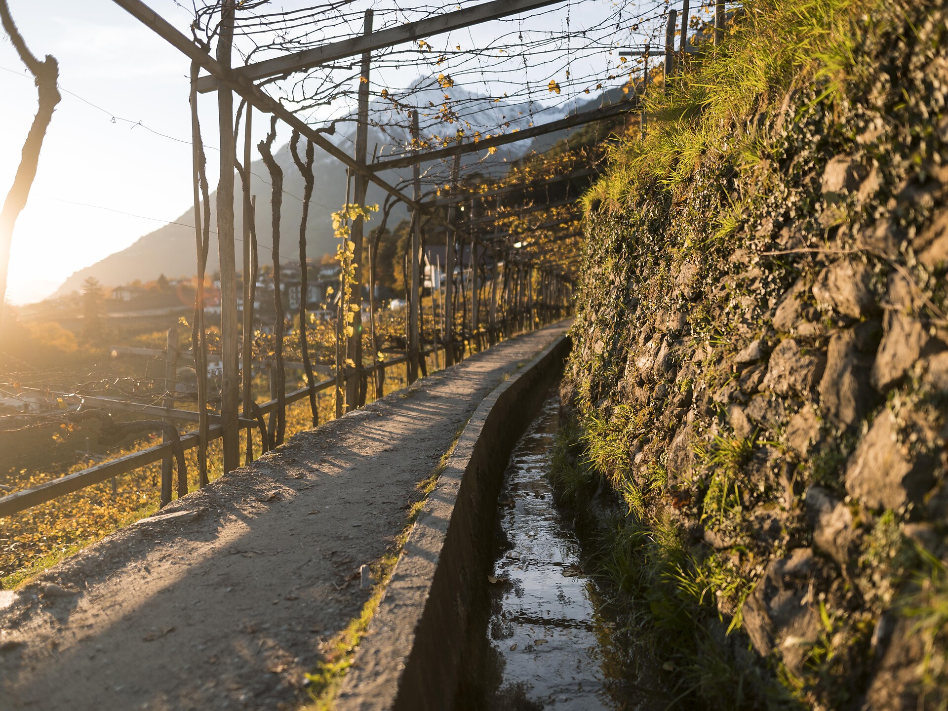 Geführte Wanderung "Algund - Vellau - Saxnerweg - Partschins" - Meran und Umgebung - #1 - suedtirol.info