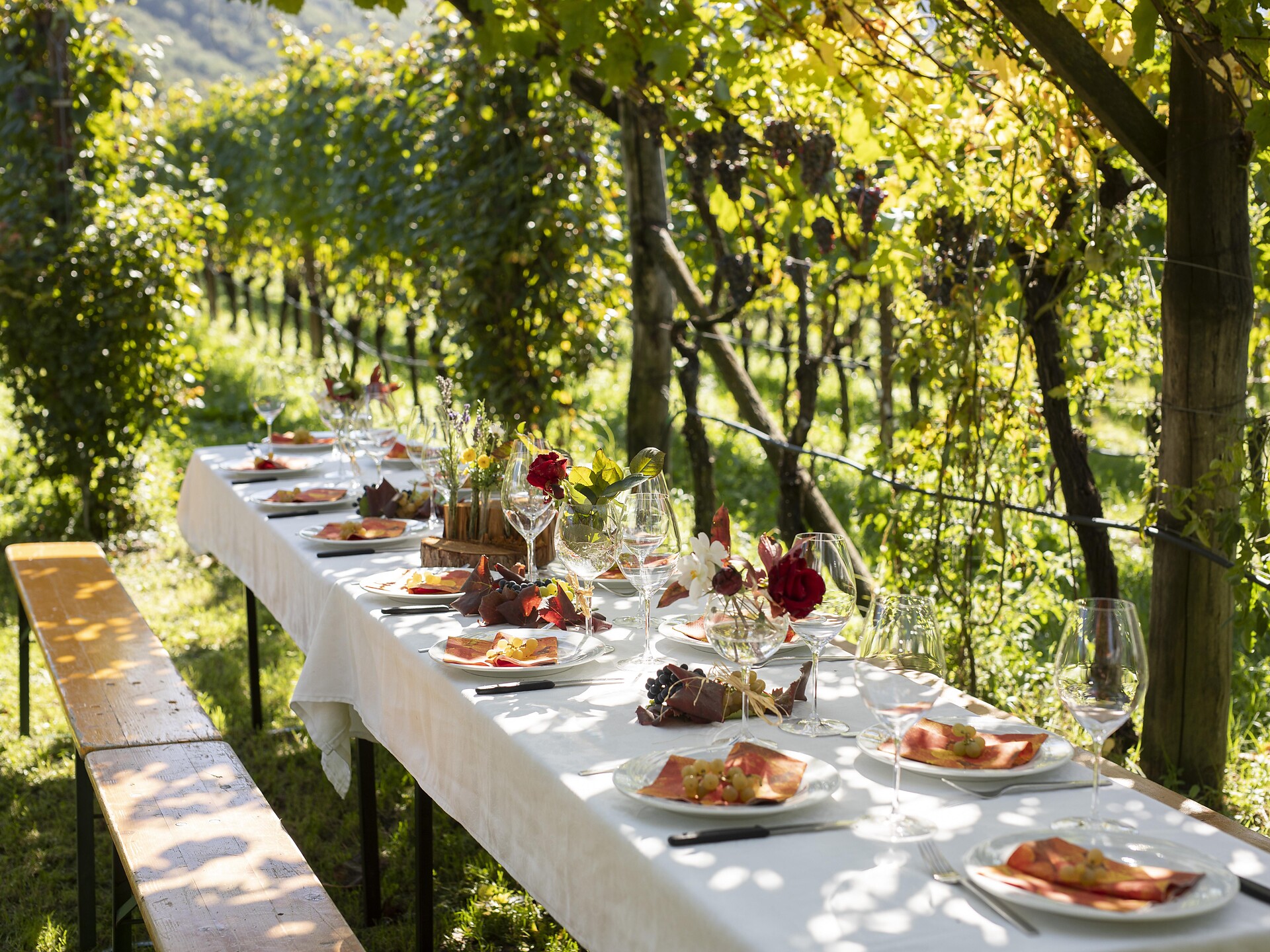 Genusswanderung zum Kalterer See mit Wein und Kulinarik 2025 Dienstag Kaltern an der Weinstraße 1 suedtirol.info