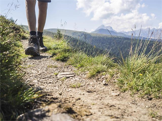 Guided guest hike: Hike from Kurtatsch via Tramin to Söll Algund/Lagundo 1 suedtirol.info