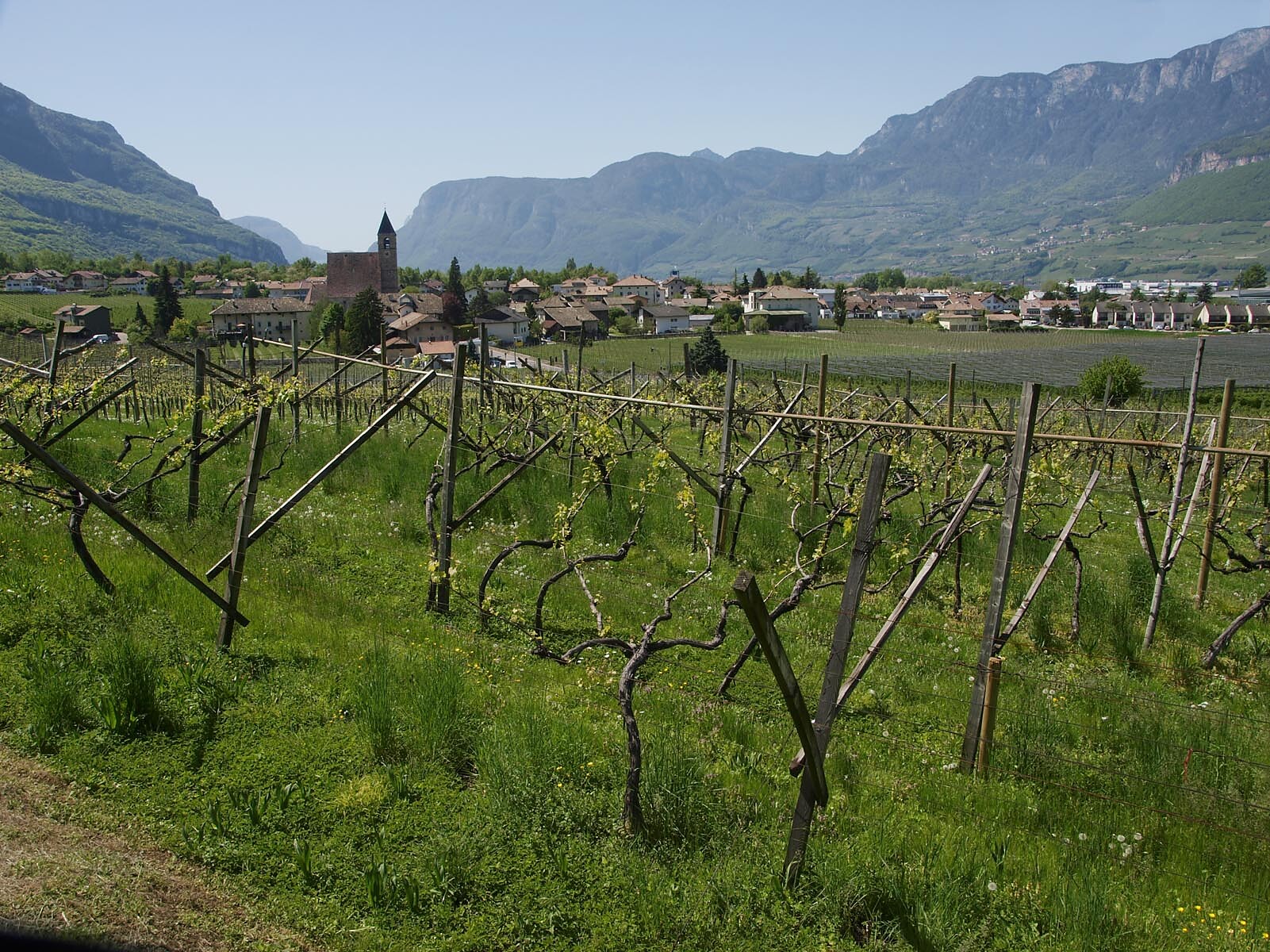 Gourmet autumn: Wine tasting - Meran/Merano and environs - #1 - suedtirol.info