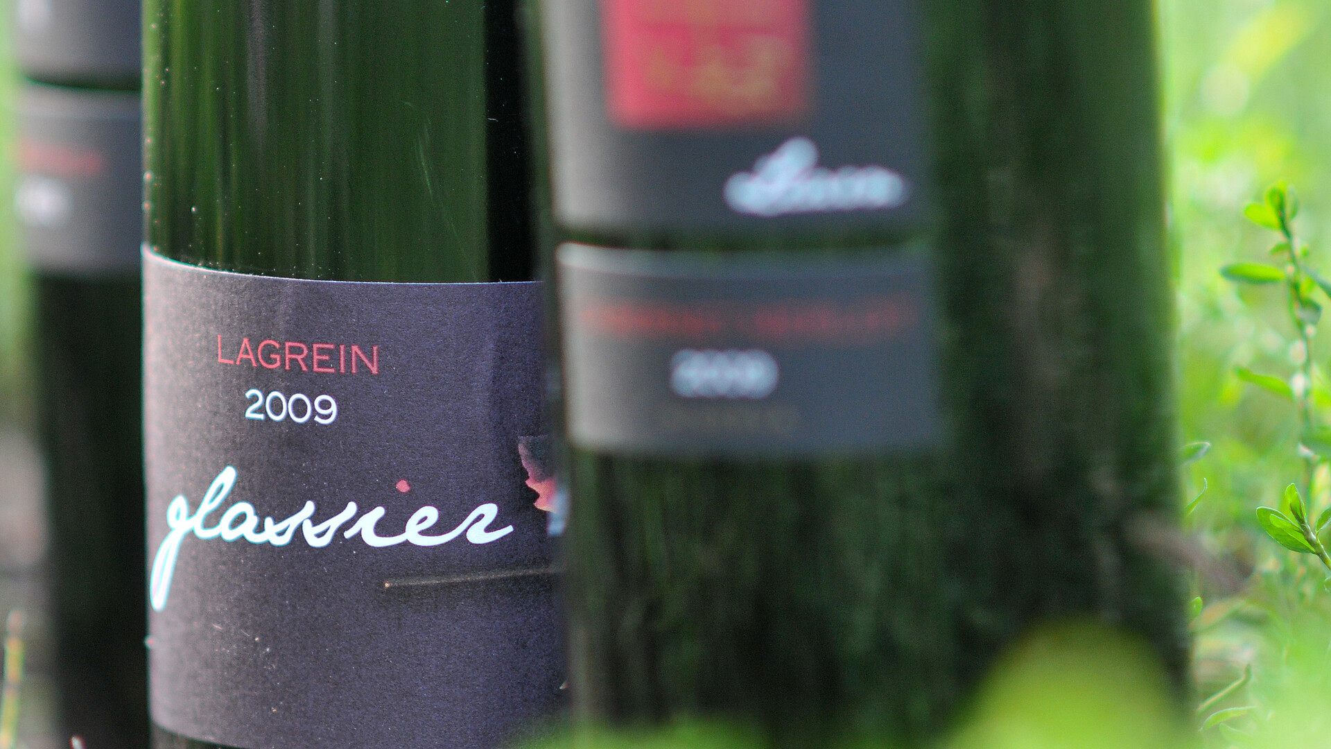 Gourmet autumn: Wine tasting - Meran/Merano and environs - #4 - suedtirol.info