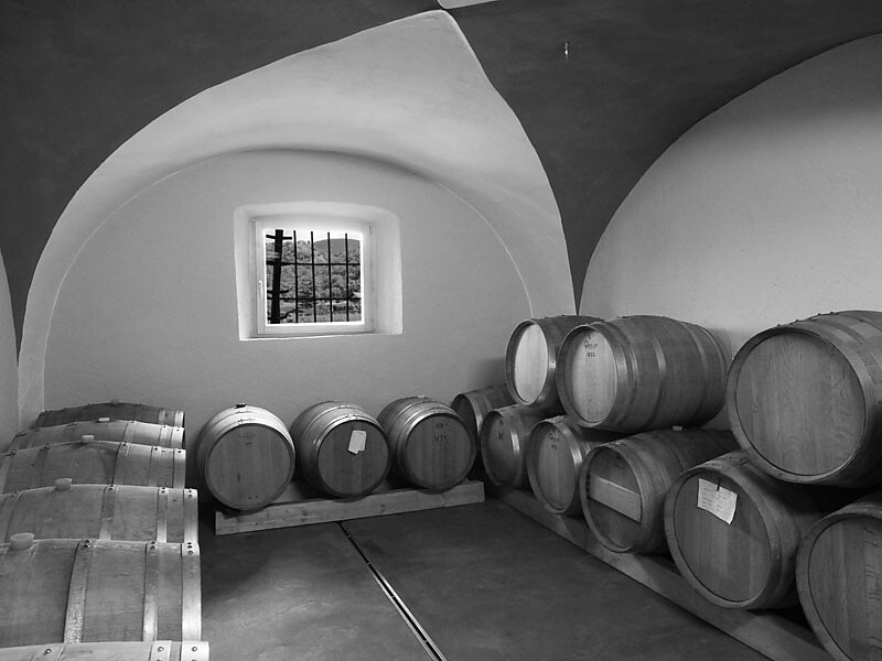 Gourmet autumn: Wine tasting - Meran/Merano and environs - #3 - suedtirol.info
