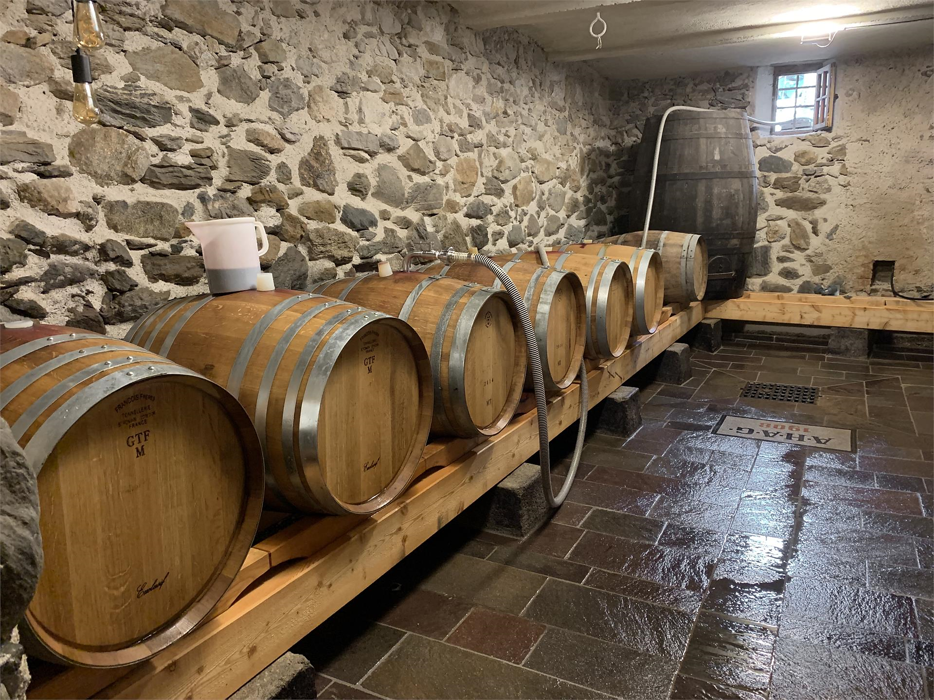 Genusspfad durch Weinberg und Keller am Pardellerhof Marling 2 suedtirol.info