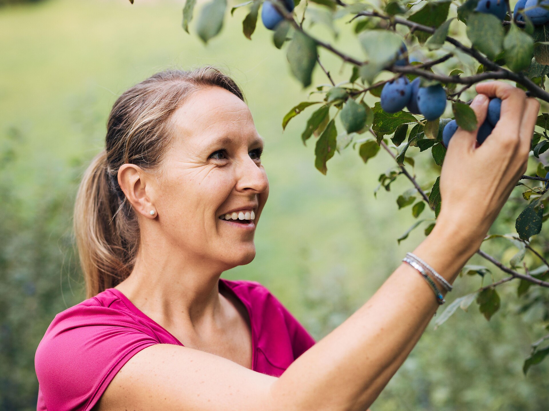 Guided plum-walking-tour with stop at "Oberweger" Barbian/Barbiano 1 suedtirol.info
