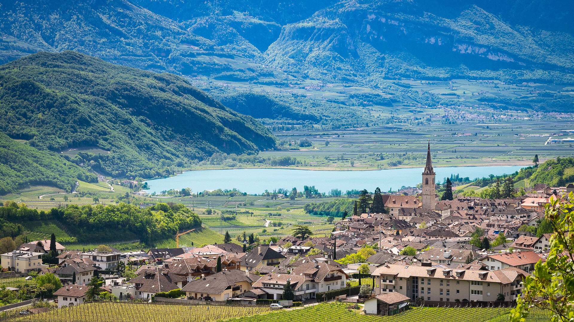Autunno gourmet: Degustazione serale con la Cantina Kaltern - Merano e dintorni - #2 - suedtirol.info