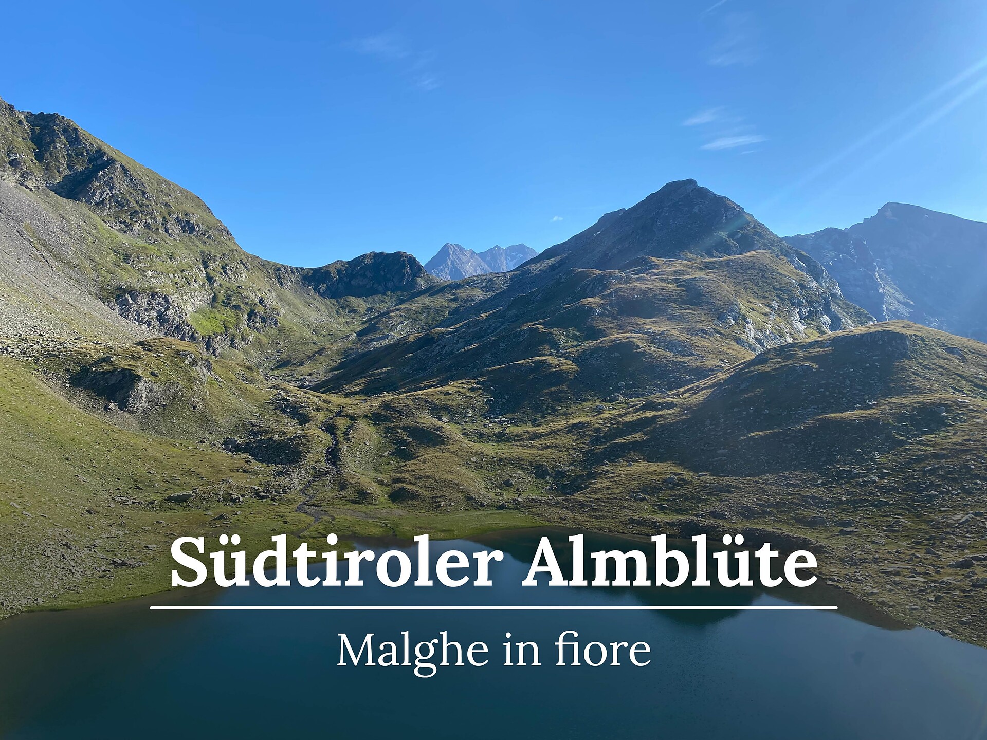SÜDTIROLER ALMBLÜTE: Geführte Bergseenwanderung im Pfunderer Tal Vintl 1 suedtirol.info