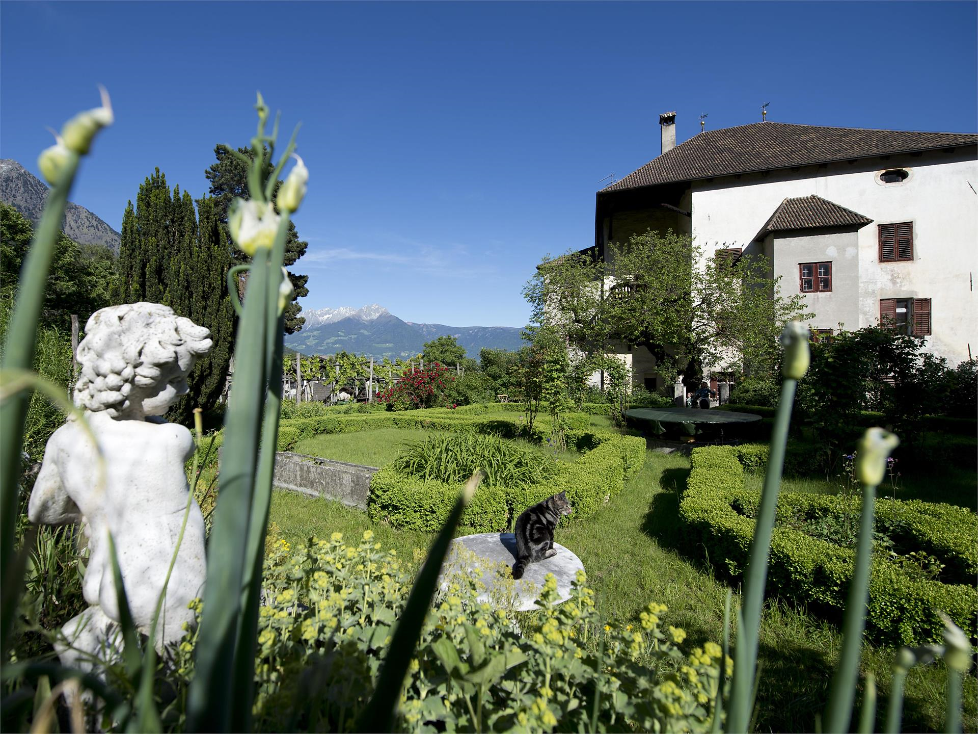 Garden beats - Sepp Messner Windschnur in concert Parcines 2 suedtirol.info