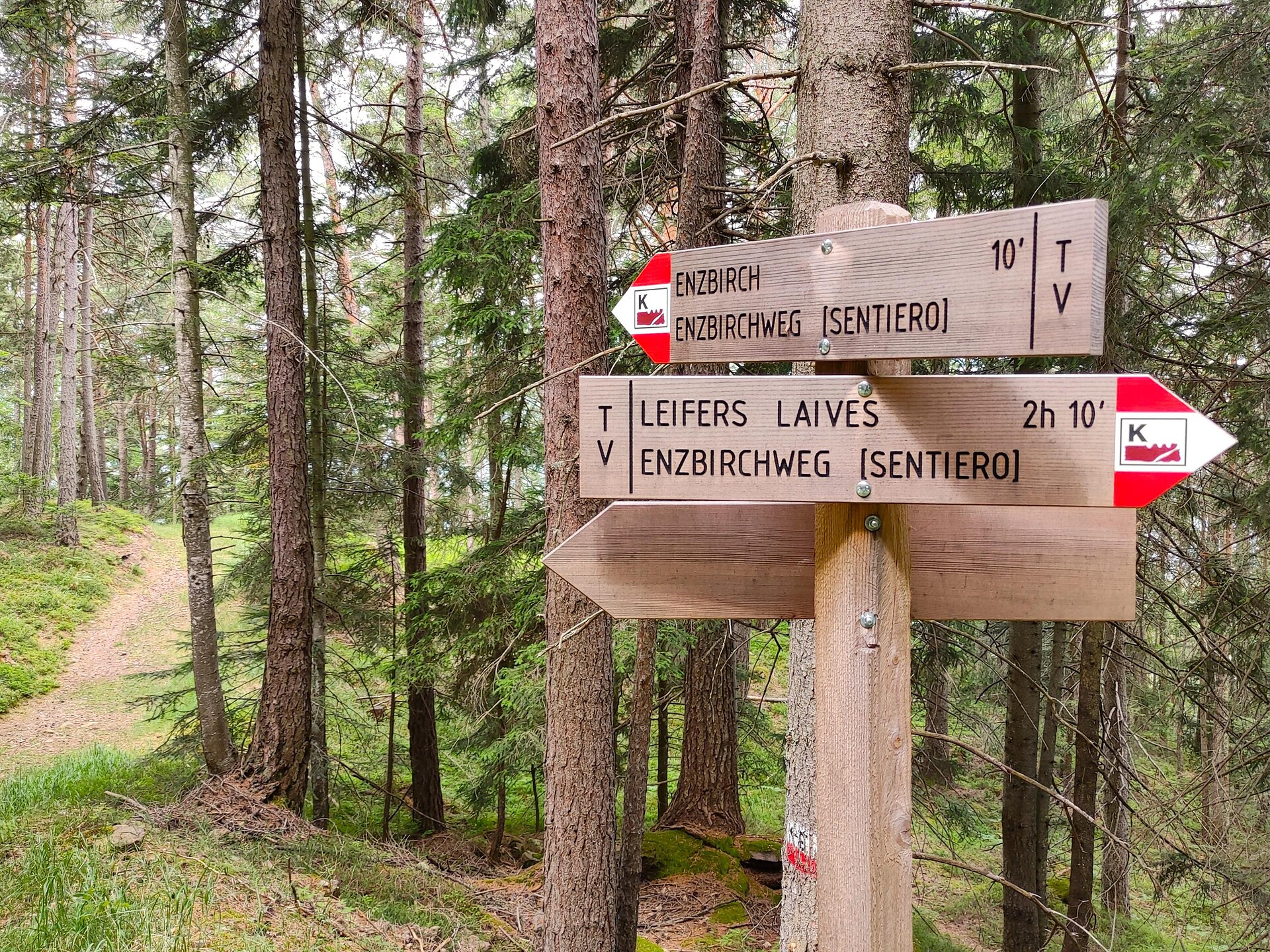 Giornata Europea del Patrimonio 2025: il castelliere Enzbirch - Bolzano e dintorni - #1 - suedtirol.info